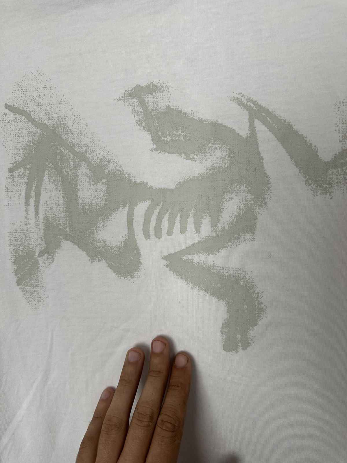 Arc'teryx Arcteryx Kragg SL Cotton Blurred Bird T-Shirt Big Logo Size US M / EU 48-50 / 2 - 13 Thumbnail