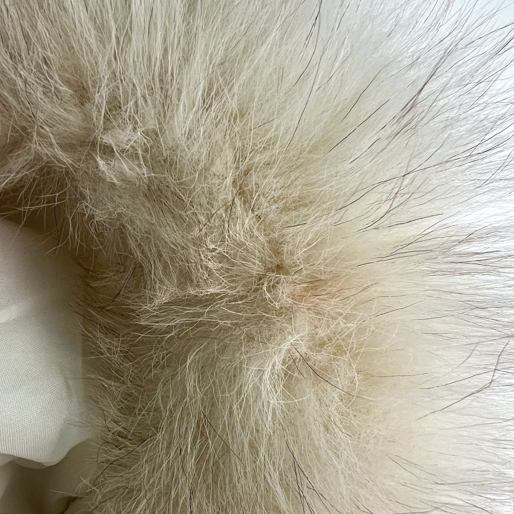 Vintage IZZI Fox Fur Detachable Hooded Parka Jacket Womens M Ivory Fox Size M / US 6-8 / IT 42-44 - 6 Thumbnail