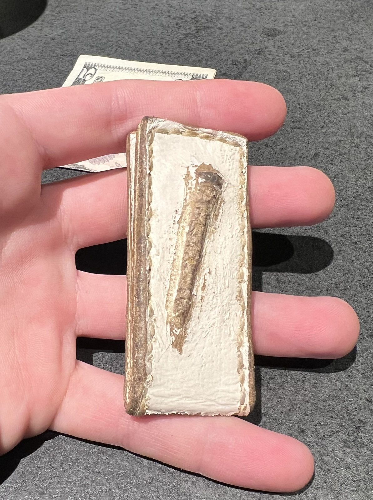 Other Avant-garde handcrafted leather money clip.🔖 Size ONE SIZE - 9 Thumbnail
