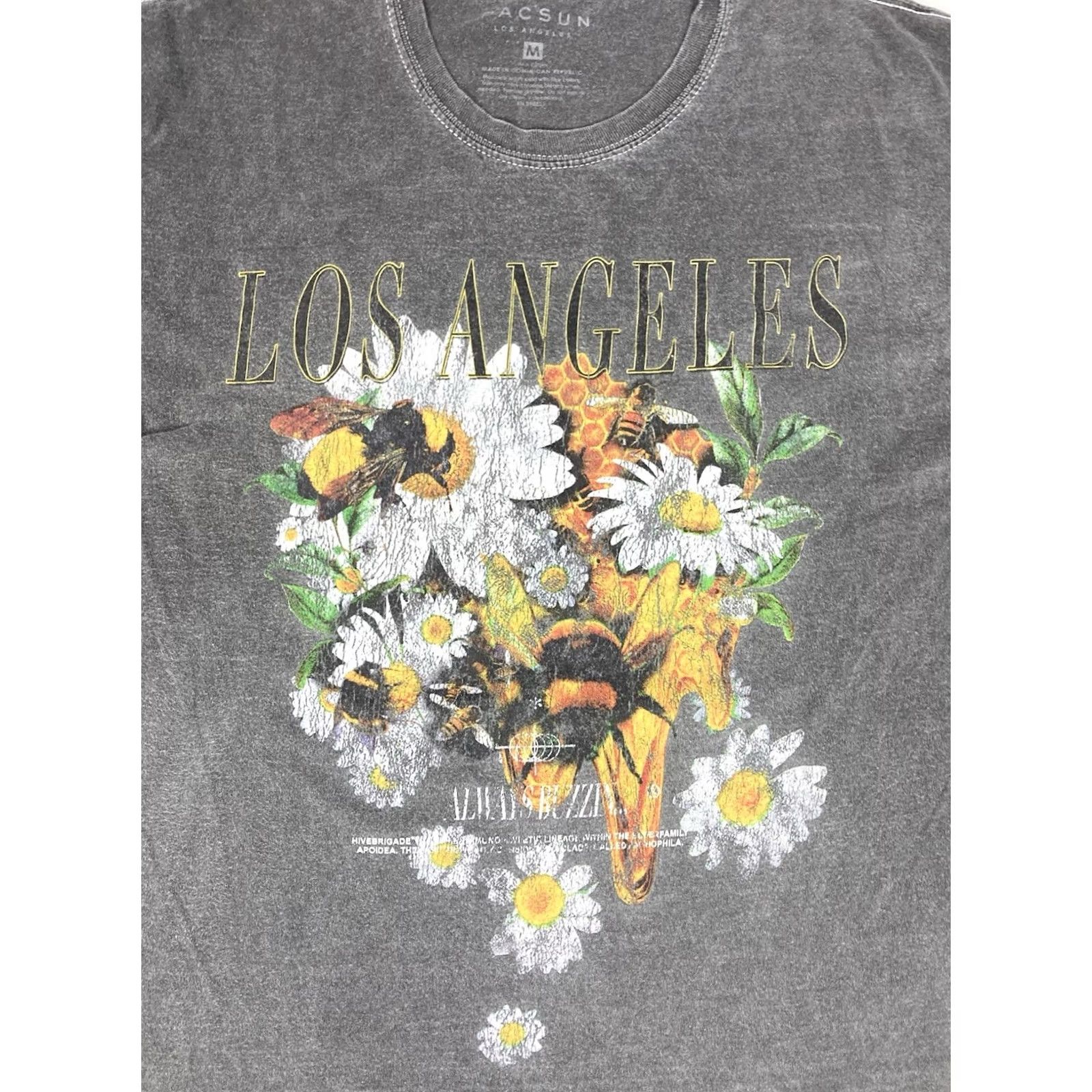 Pacsun Pacsun Los Angeles Flower Bee Graphic T-shirt Men Medium Gray Short Sleeve Size US M / EU 48-50 / 2 - 2 Thumbnail