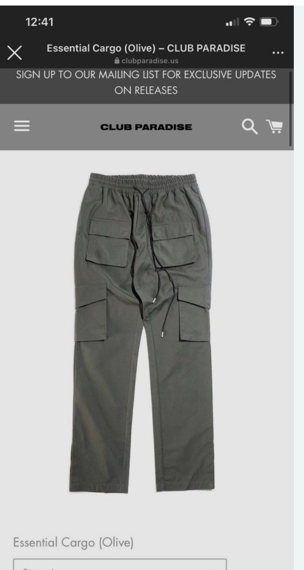 Paradise Club Paradise Essential Cargo Pants Olive MRSP $94 Size 26" / US 2 / IT 38 - 1 Thumbnail