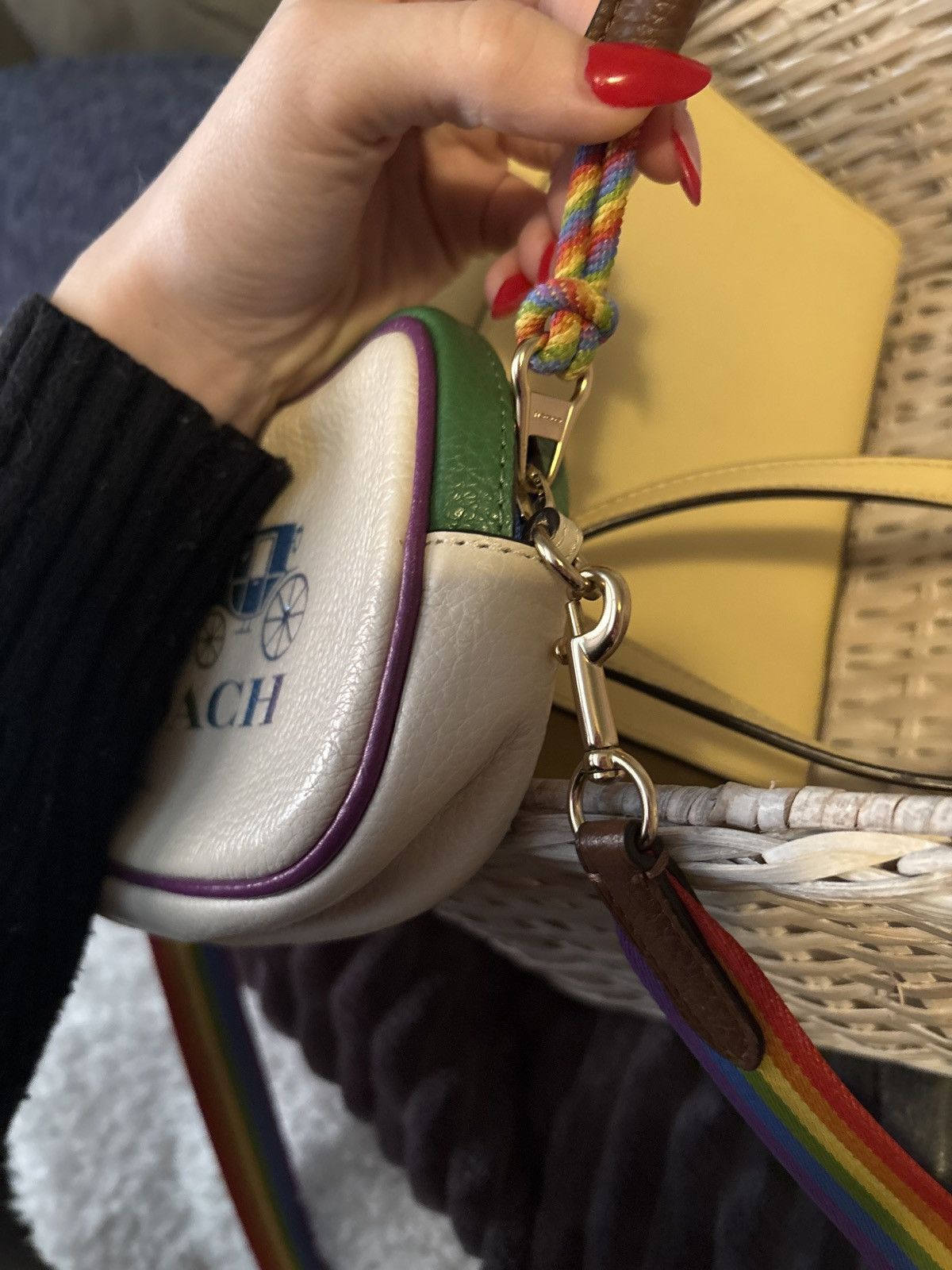 Coach Coach rainbow crossbody bag Size ONE SIZE - 5 Thumbnail