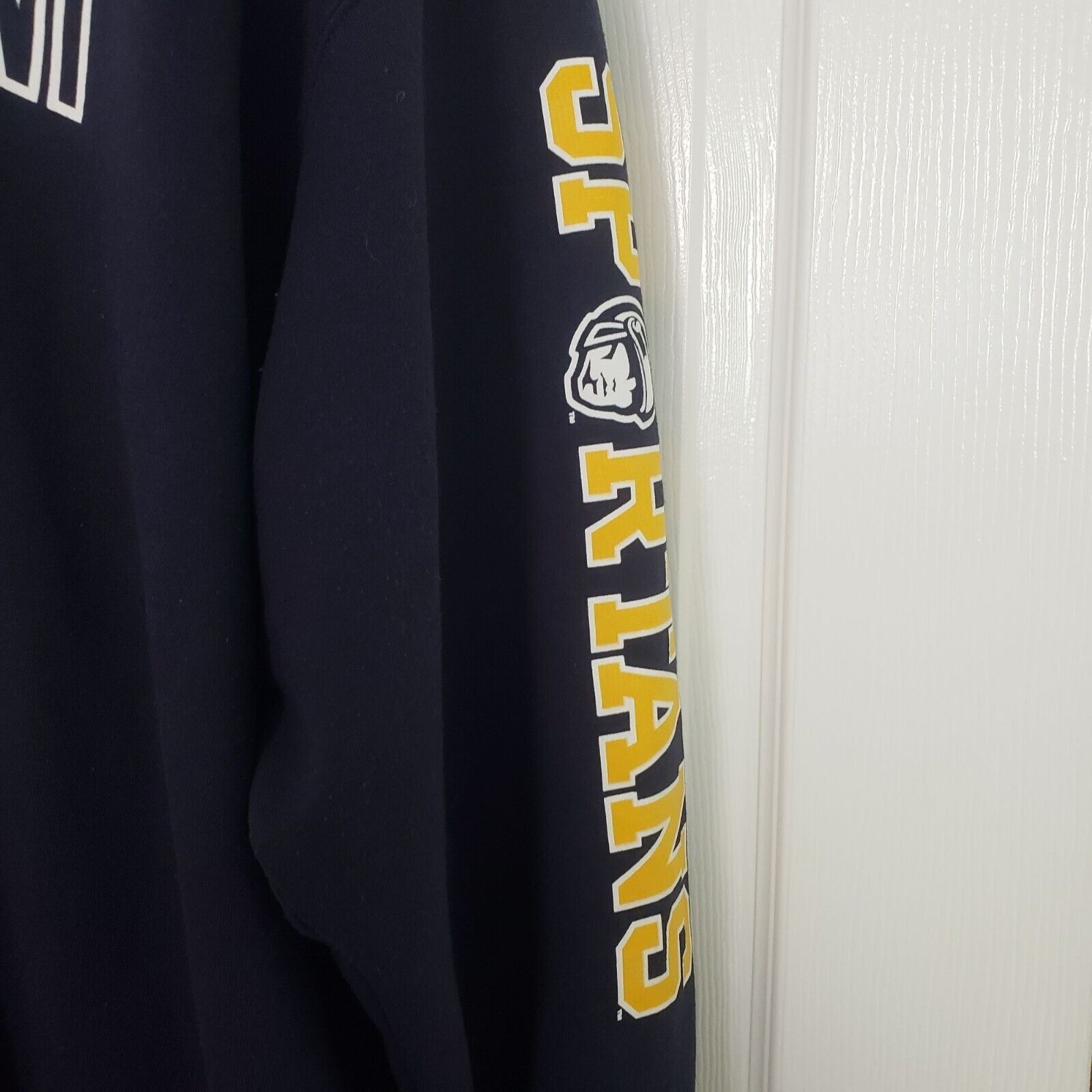 Champion Champion Eco Fleece Hoodie Adult Size 3X Blue UNCG Spartans Size US XXL / EU 58 / 5 - 3 Thumbnail