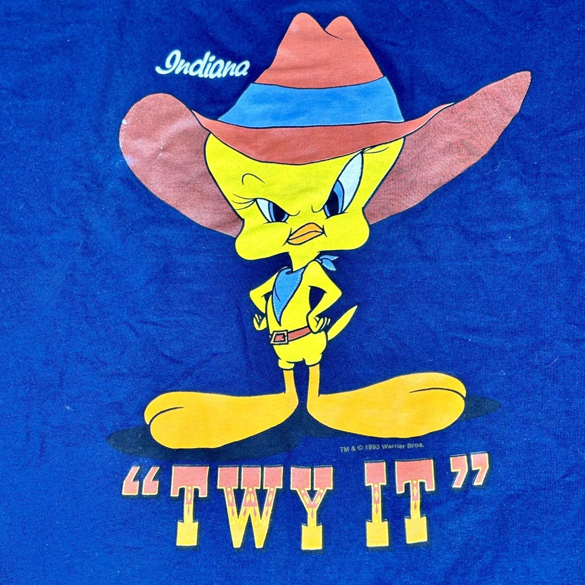 Other Tweety Bird 1993 Blue Cowboy “Twy It” T-Shirt Size Large Size US L / EU 52-54 / 3 - 4 Thumbnail