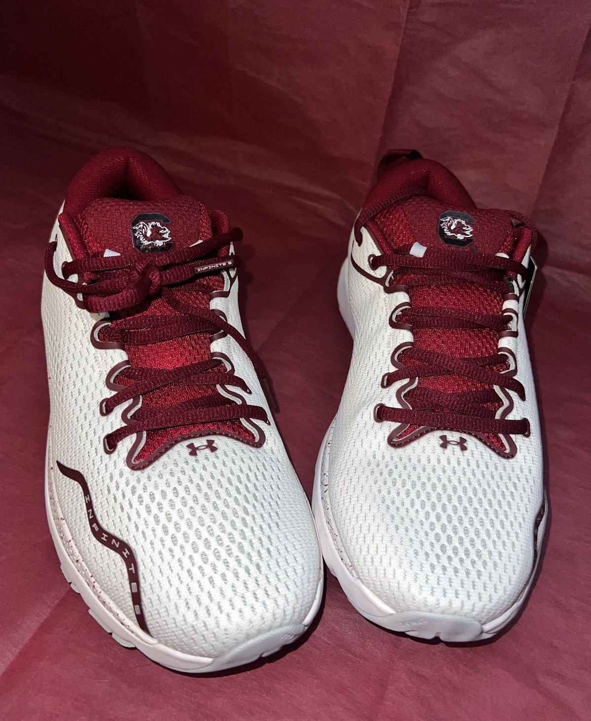 NCAA × Under Armour Under Armour Gamecocks Infinite 5 Size US 10.5 / EU 43-44 - 17 Thumbnail