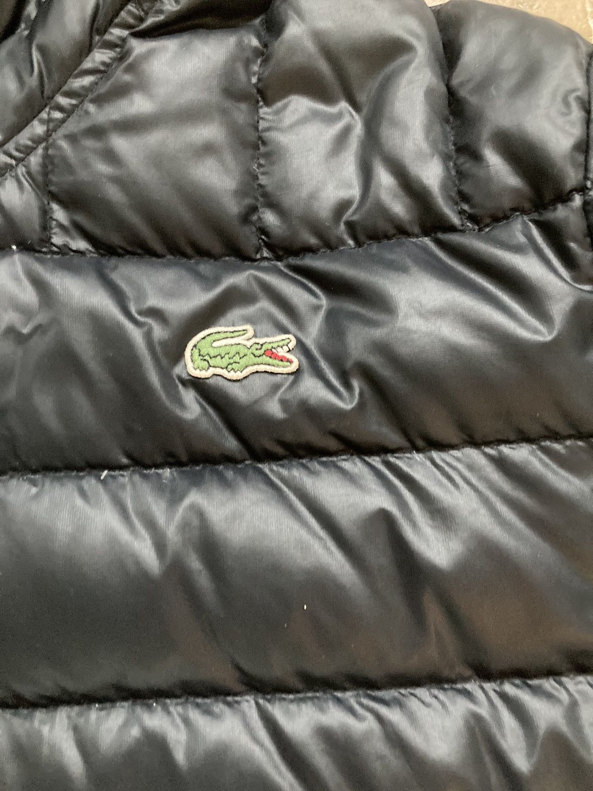 Lacoste puffer coat