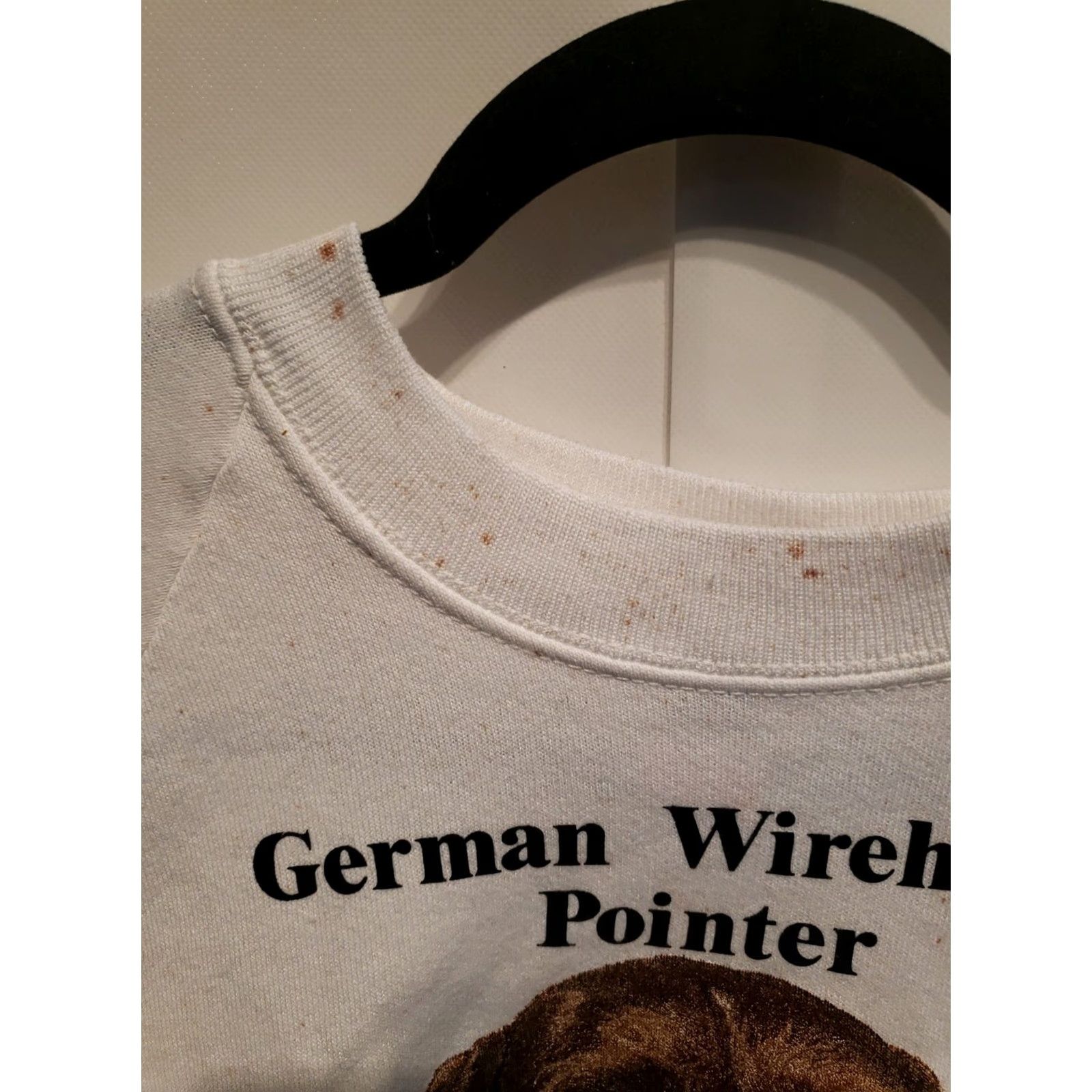 Fruit Of The Loom Vtg German Wirehair Pointer Puppy Dog Raglan Crewneck Sweatshirt Mens XXL Teal Crew Neck Pullover Dog Print Vintage Modern Shirt Featured 90s Size US XXL / EU 58 / 5 - 3 Thumbnail