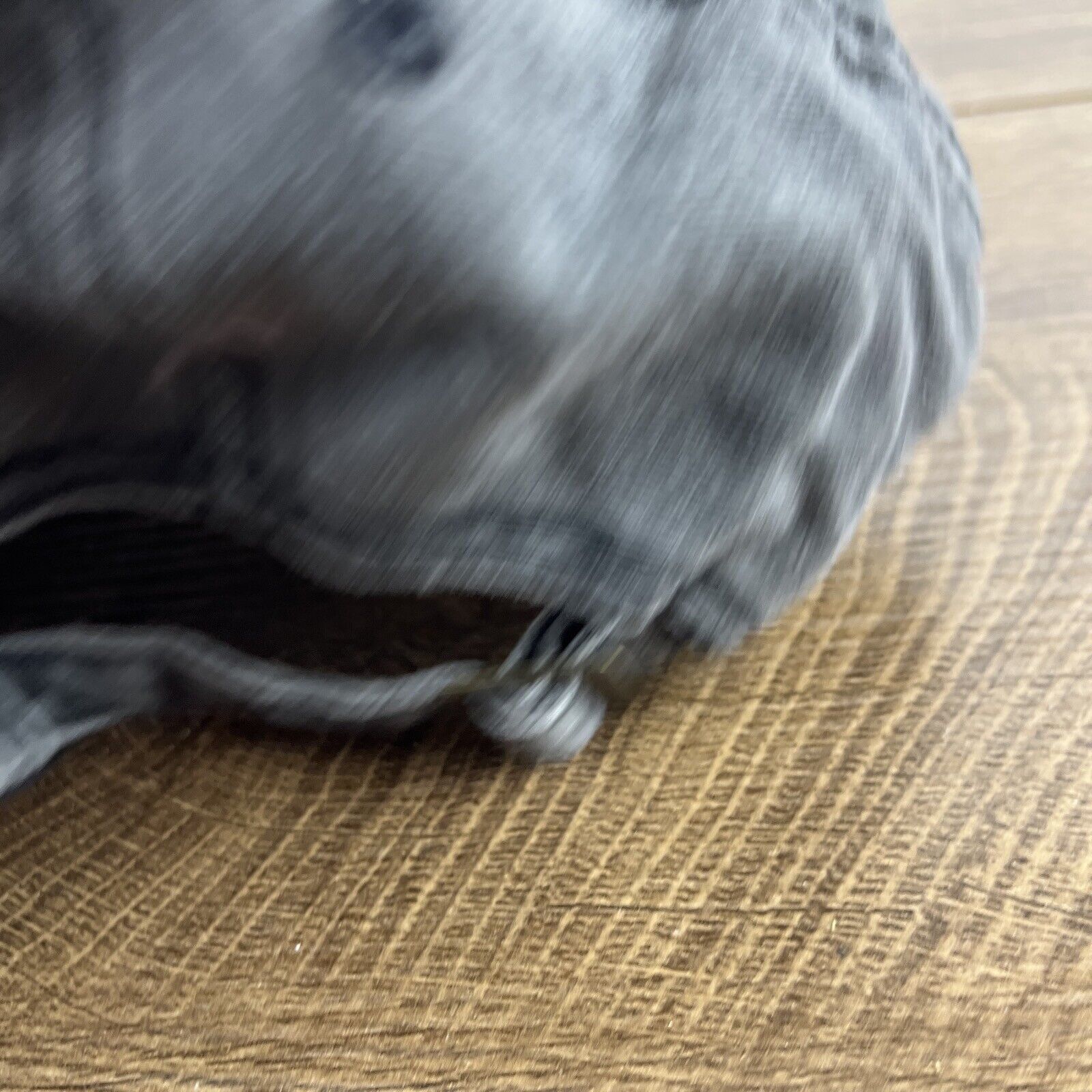 Other Tailgate Hat Football Tailgate Hat Gray Hat Adjustable Gray Size ONE SIZE - 13 Thumbnail