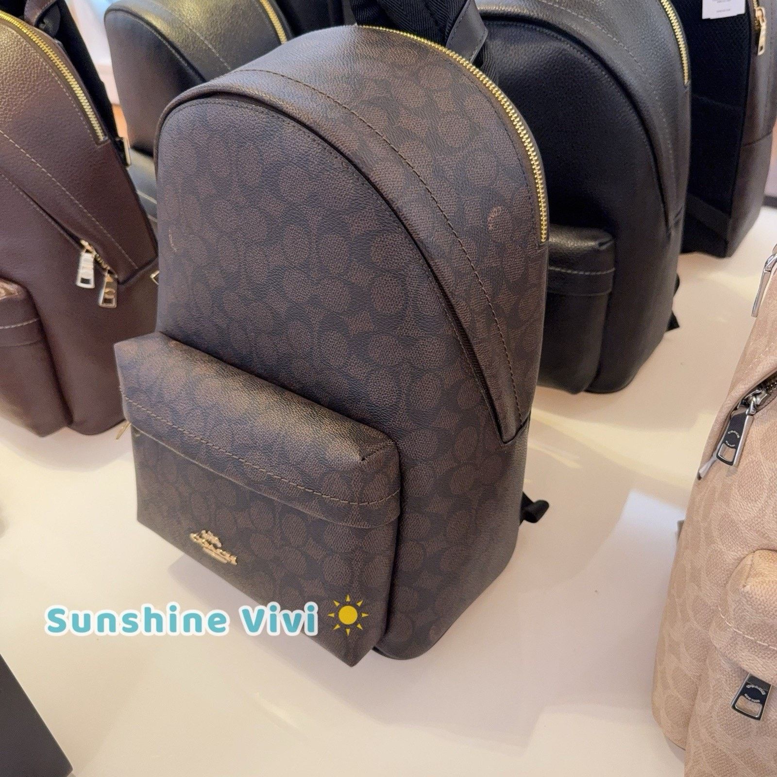 Coach NWT Coach Taylor Small Backpack CDW76 WALNUT/BLACK Size ONE SIZE - 2 Thumbnail