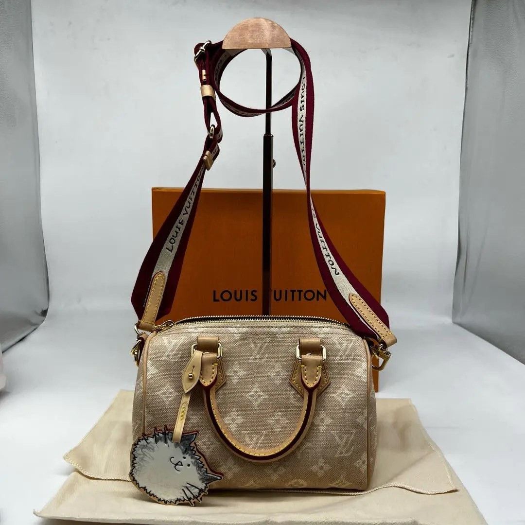 Louis Vuitton Pre-loved Bag Very good condition Size ONE SIZE - 1 Thumbnail