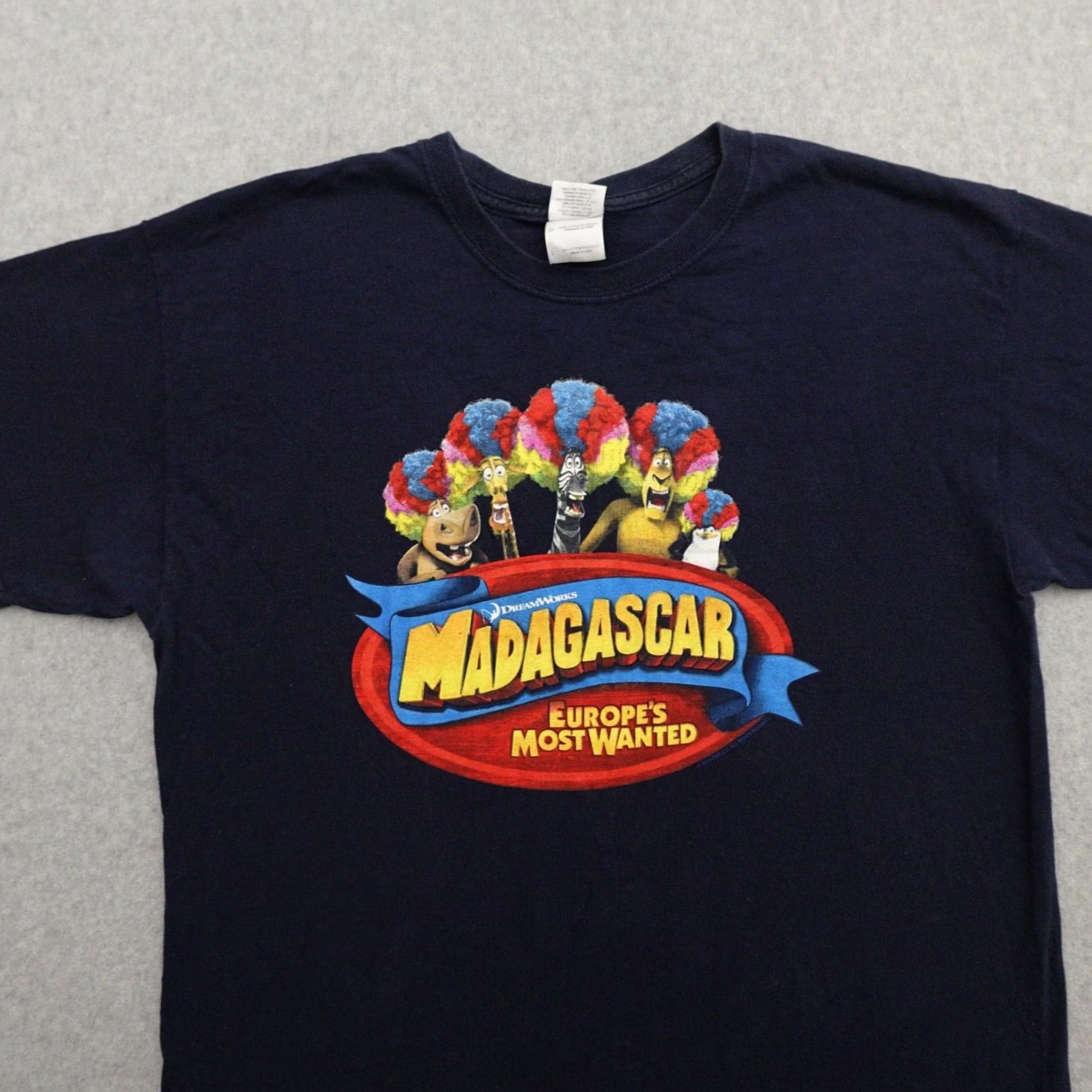 Gildan GILDAN Madagascar T-Shirt Blue Large (21X28) Adult Mens Short Sleeve M E A S U R E M E N T S A R E P R O V I D E D IN PICTURES Size US L / EU 52-54 / 3 - 7 Thumbnail