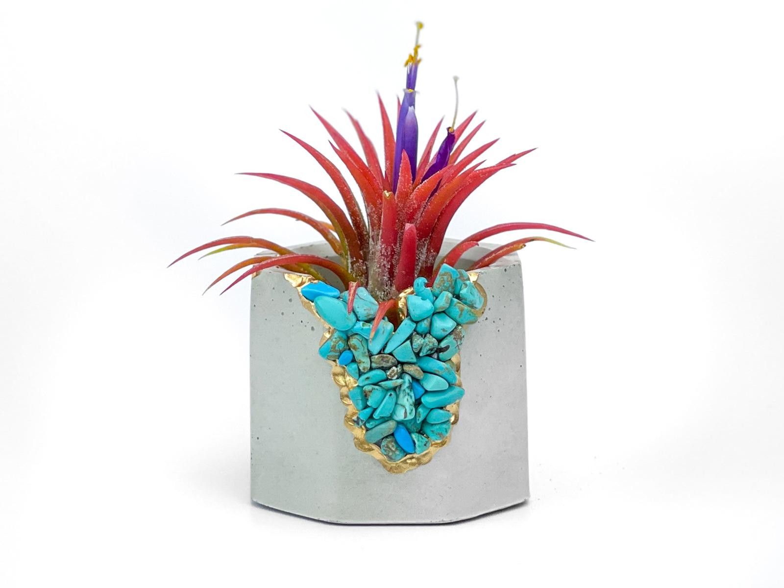 Other Turquoise Crystal Concrete Planter Air Plant Holder Gift Size ONE SIZE - 1 Thumbnail