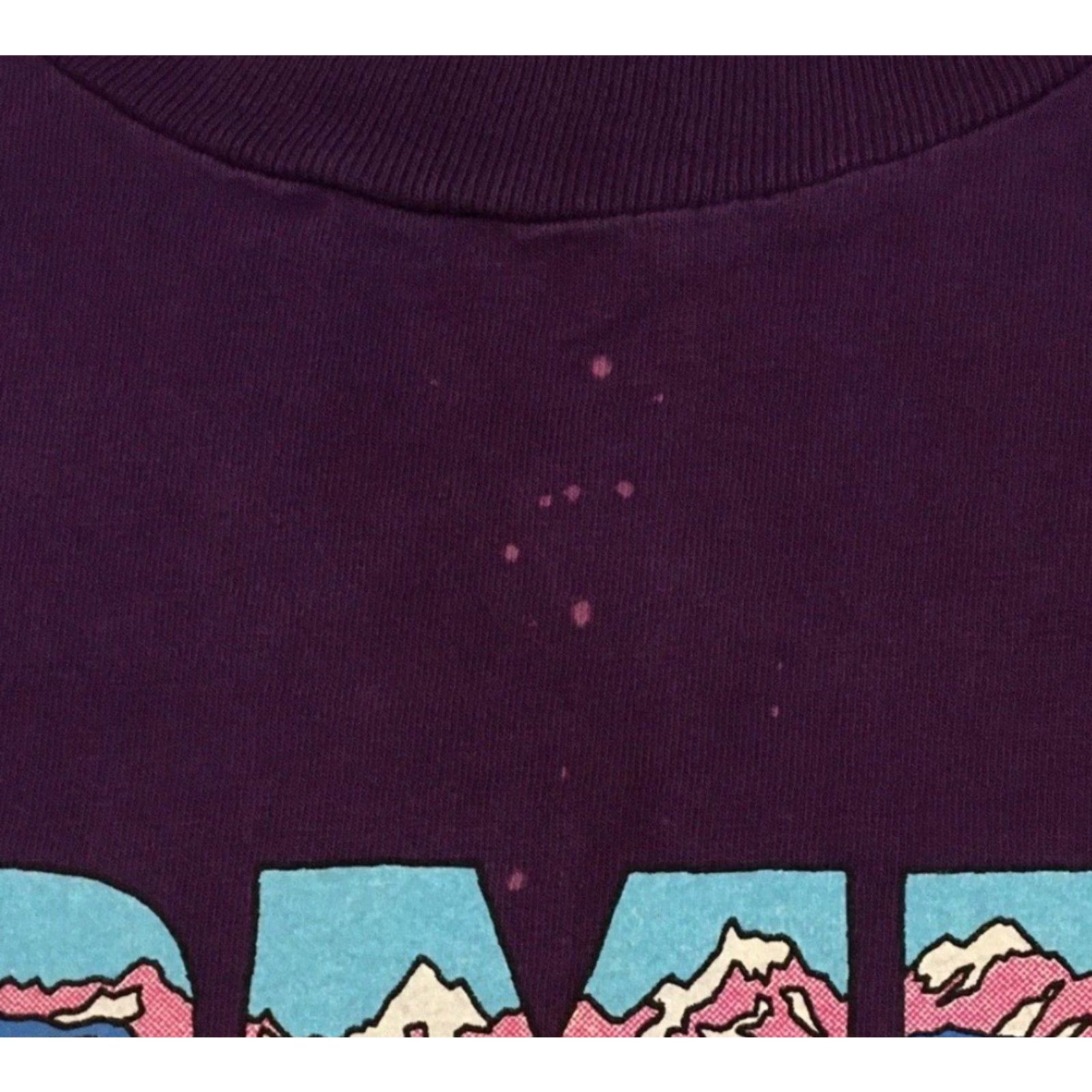 Vintage VINTAGE Homer Alaska Faded Shirt XL Nature Art Animal Surf Skate Grunge Biker Size US XL / EU 56 / 4 - 7 Thumbnail