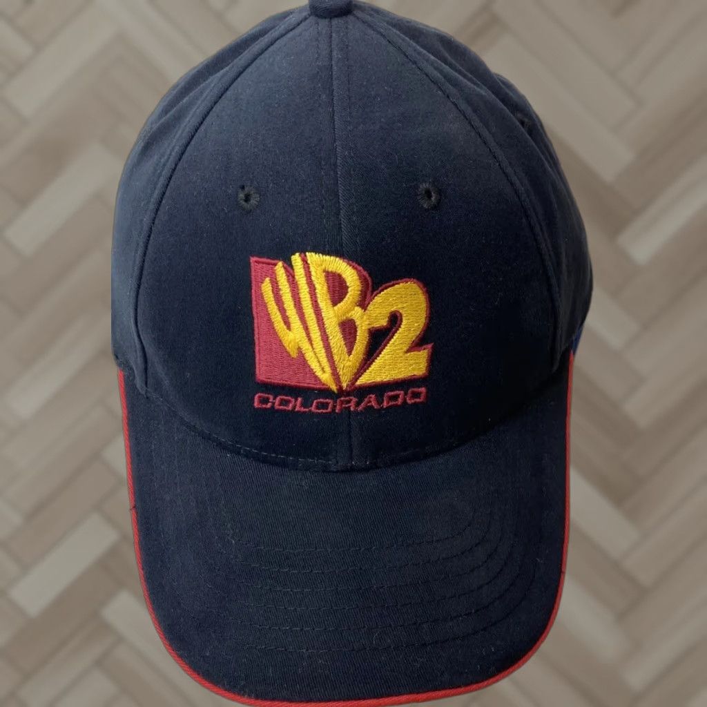 Vintage Nufit Warner Bros. Cap Baseball Hat Blue L-XL Adjustable Cotton Mens Size ONE SIZE - 1 Thumbnail