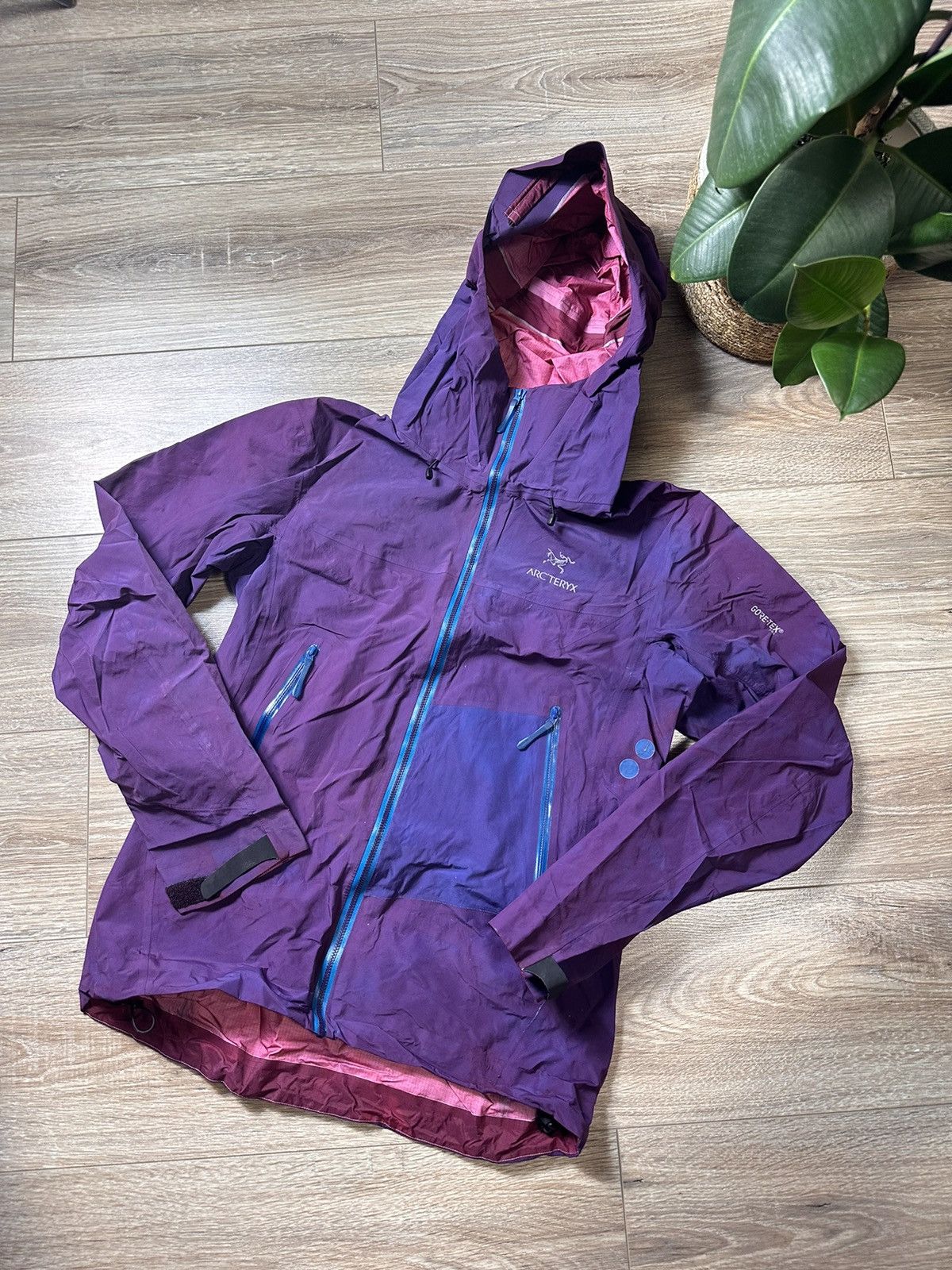 ジャケット Arc'teryx Jackets Purple ARC'TERYX Alpha Hard Shell Series Purple Women's Sports