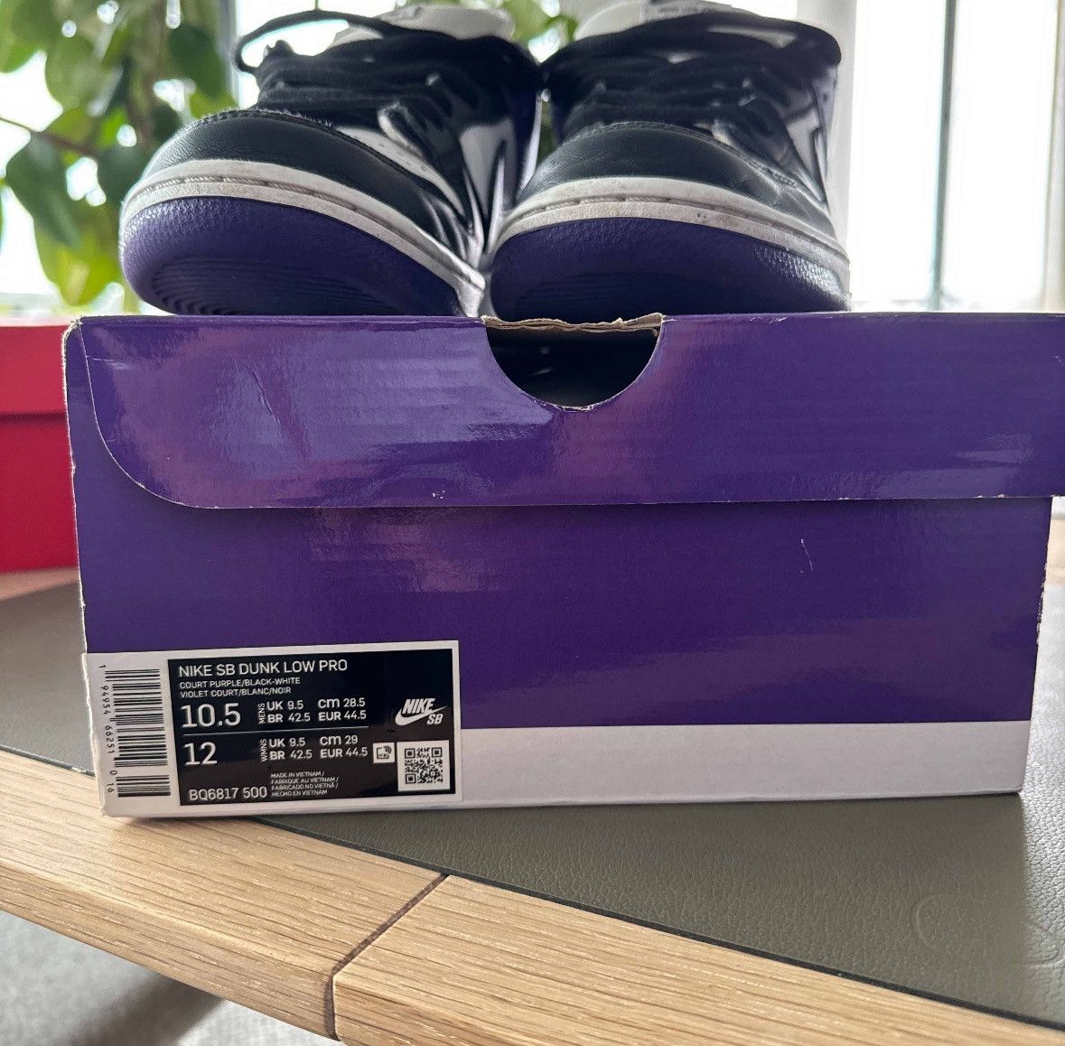Nike Dunk Low SB Court Purple