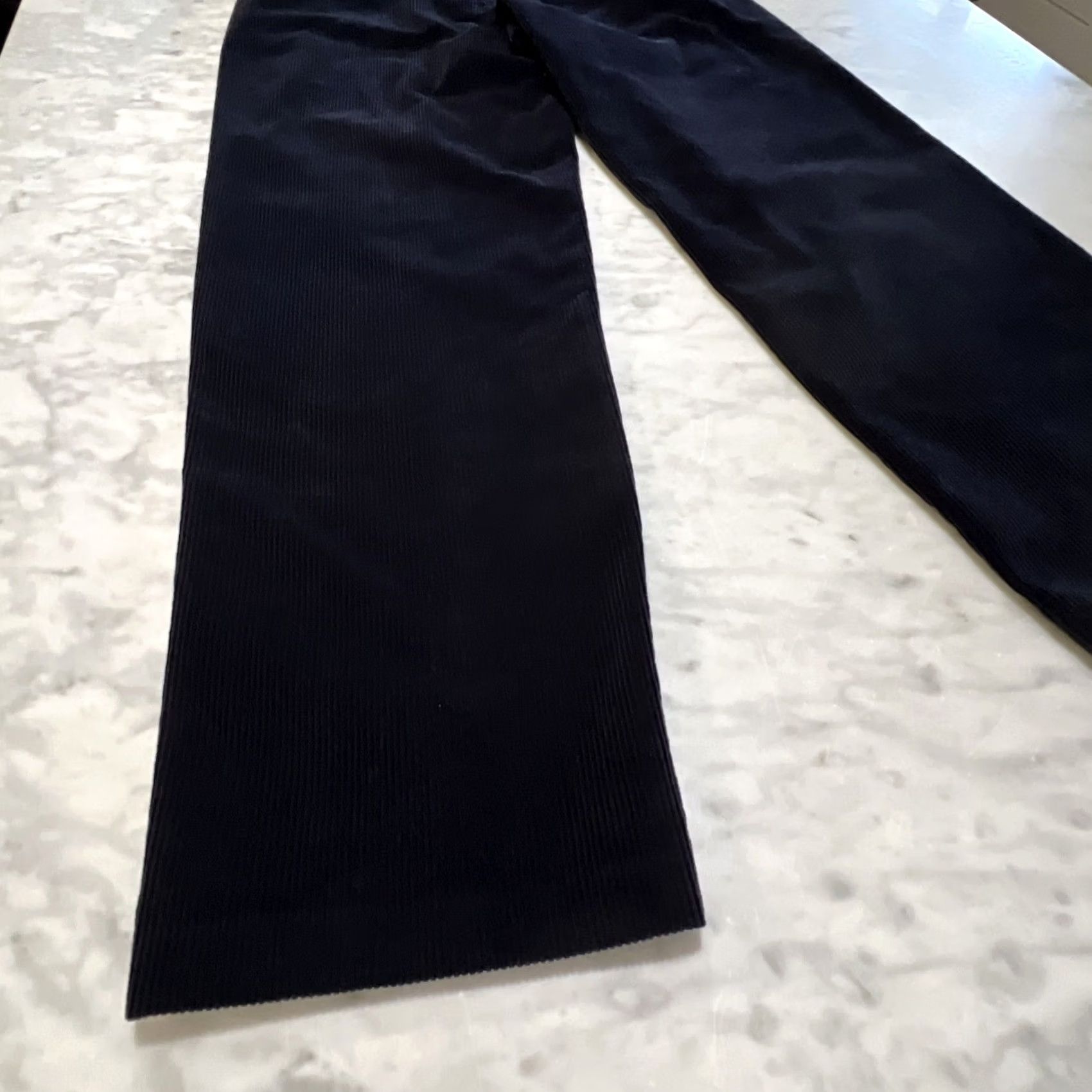Tommy Hilfiger Tommy Hilfiger Golf Pants Men’s 34x33 Wide-Leg Pleated Front Navy Corduroy Pants Size US 34 / EU 50 - 7 Thumbnail