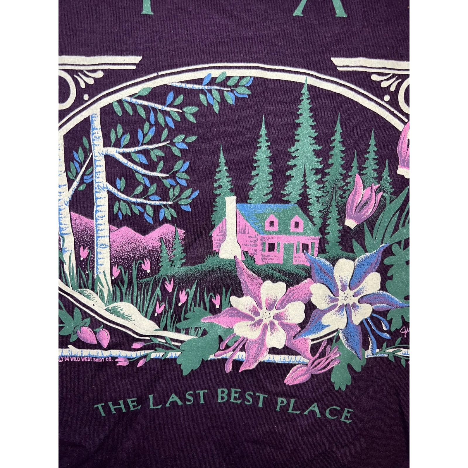 Jerzees 90s UT Utah The Last best Place Cabin Mountain Shirt Large Size US L / EU 52-54 / 3 - 2 Thumbnail