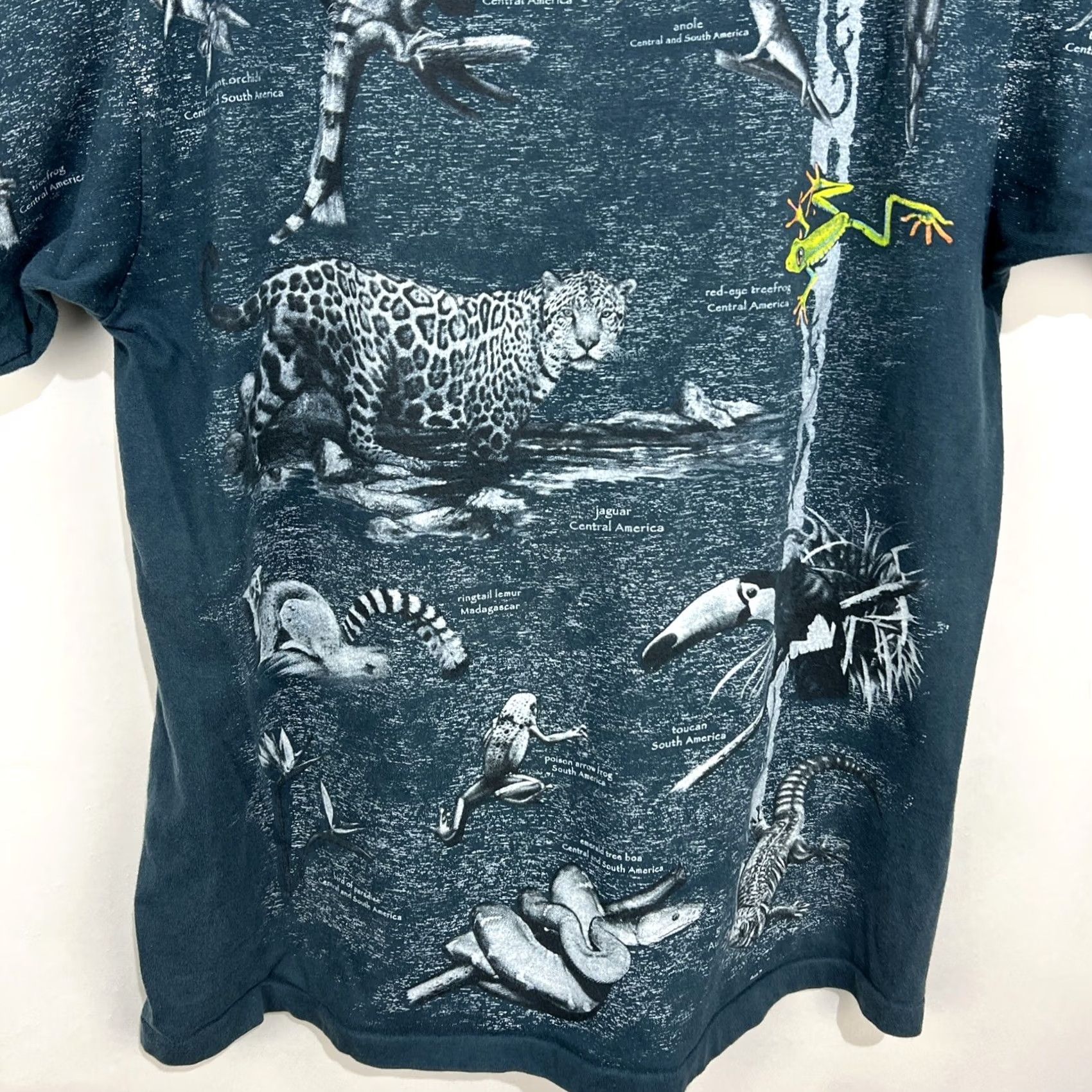 Vintage VINTAGE Turner Originals T-Shirt Men Blue L Short Sleeve Crew Neck Graphic Animals AOP South America 90s Bird Outdoor USA Women? Size US L / EU 52-54 / 3 - 5 Thumbnail
