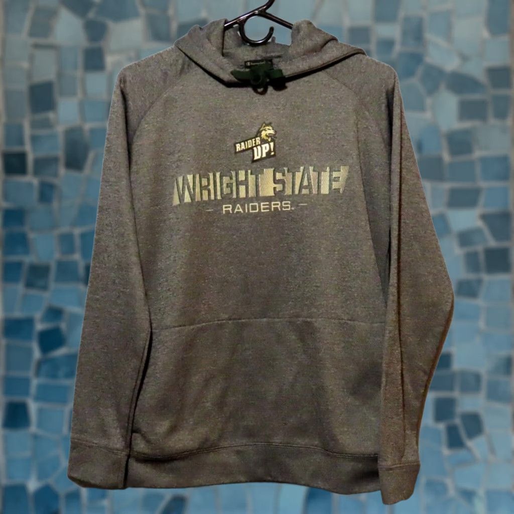 Champion Champion Hoodie Mens S Wright State Raiders Gray Pullover Hooded Sweatshirt Regular Fit College Winter Size US S / EU 44-46 / 1 - 1 Thumbnail