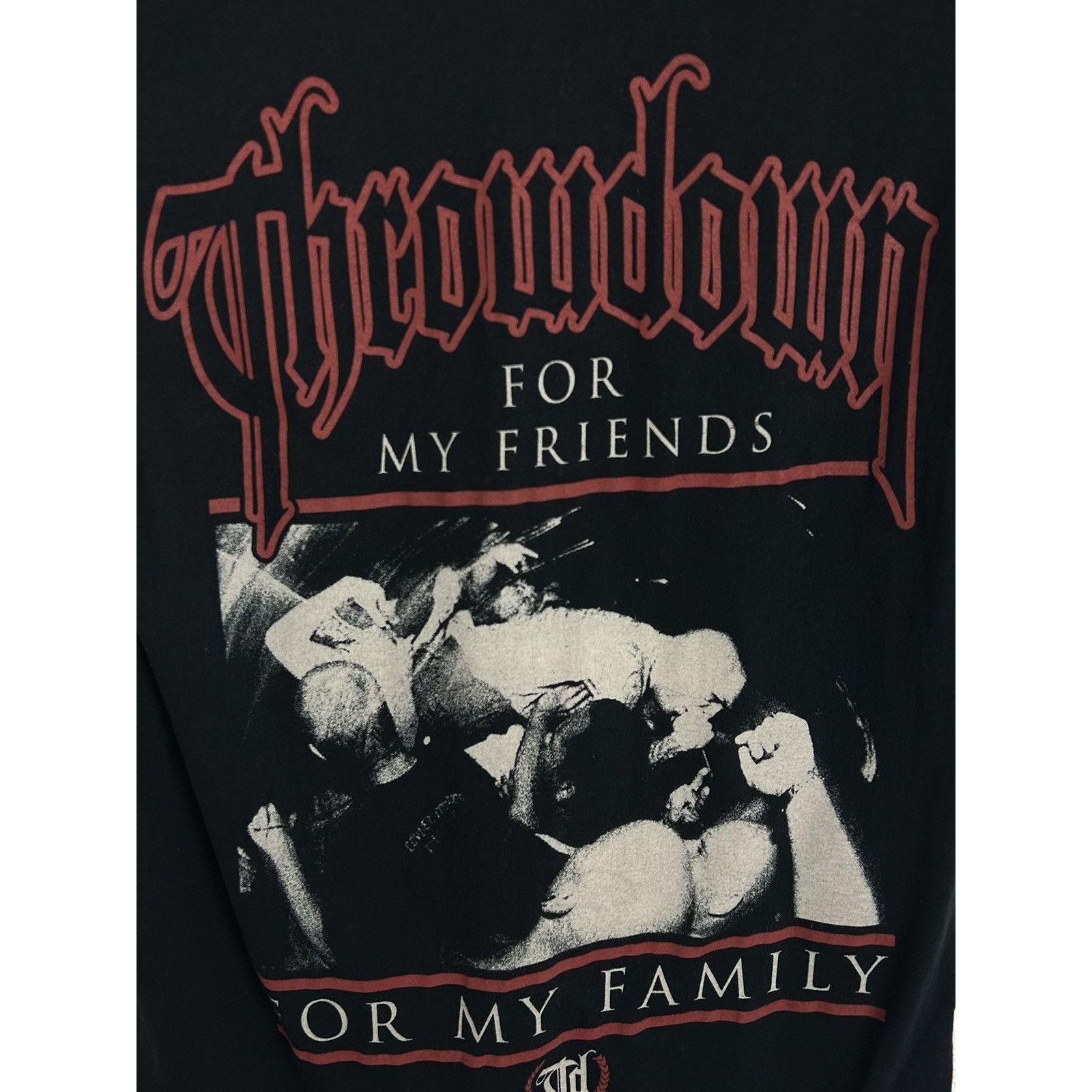 Band Tees Throwdown American Heavy Metal Band For My Family T-Shirt Size US S / EU 44-46 / 1 - 5 Thumbnail