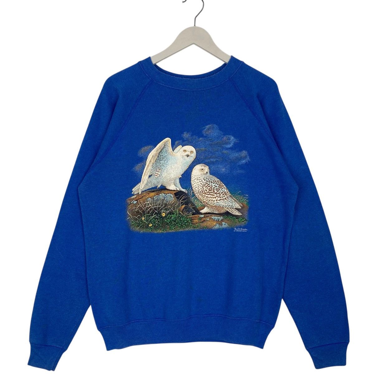 Other Vintage Hanes Republic Graphic Crewneck Sweatshirt Blue SzL Size US L / EU 52-54 / 3 - 1 Thumbnail
