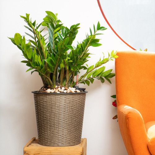 Designer × Homemade 13 in.Gray Wicker Self-watering Planter Size US L / EU 52-54 / 3 - 3 Thumbnail