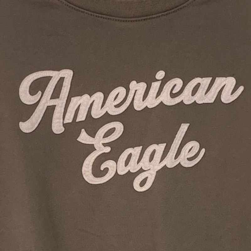 American Eagle Outfitters New American Eagle Mens Medium PolyCotton Logo Sweatshirt Size US M / EU 48-50 / 2 - 2 Thumbnail