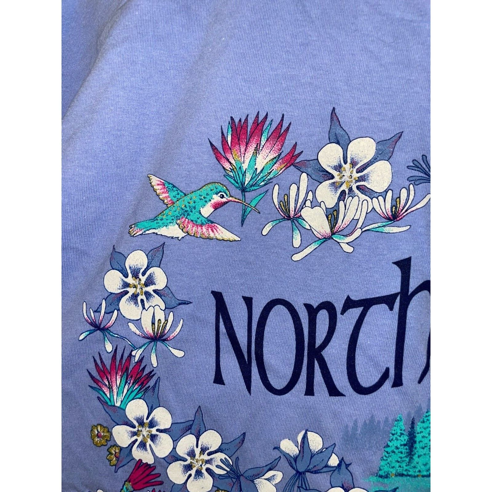 Jerzees Vintage North Dakota Shirt Mountain Hummingbird Tee 90s L Size US L / EU 52-54 / 3 - 3 Thumbnail