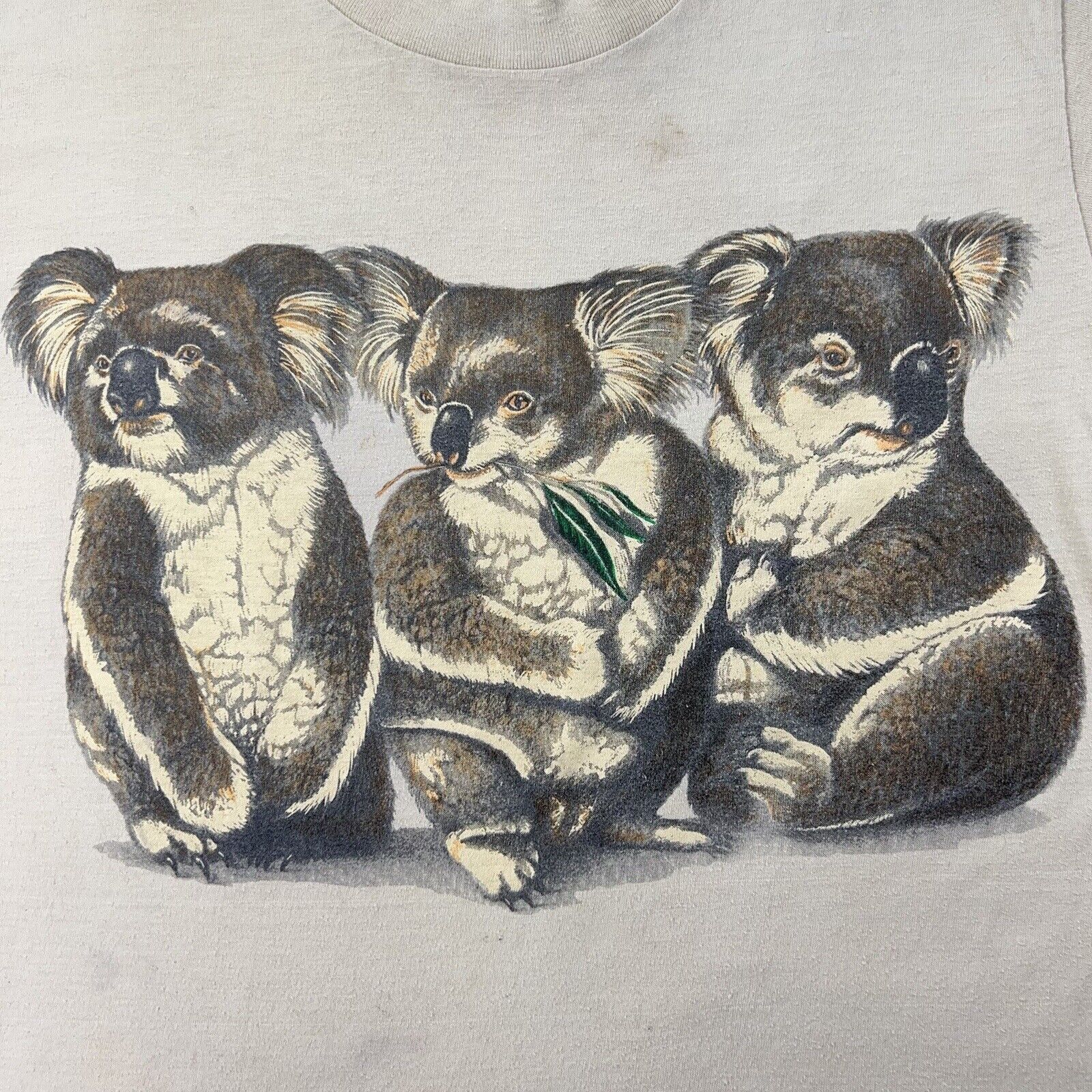 Vintage Vintage 1988 Lexington MetroZoo Koala Exhibit Graphic Tee Size US M / EU 48-50 / 2 - 5 Thumbnail