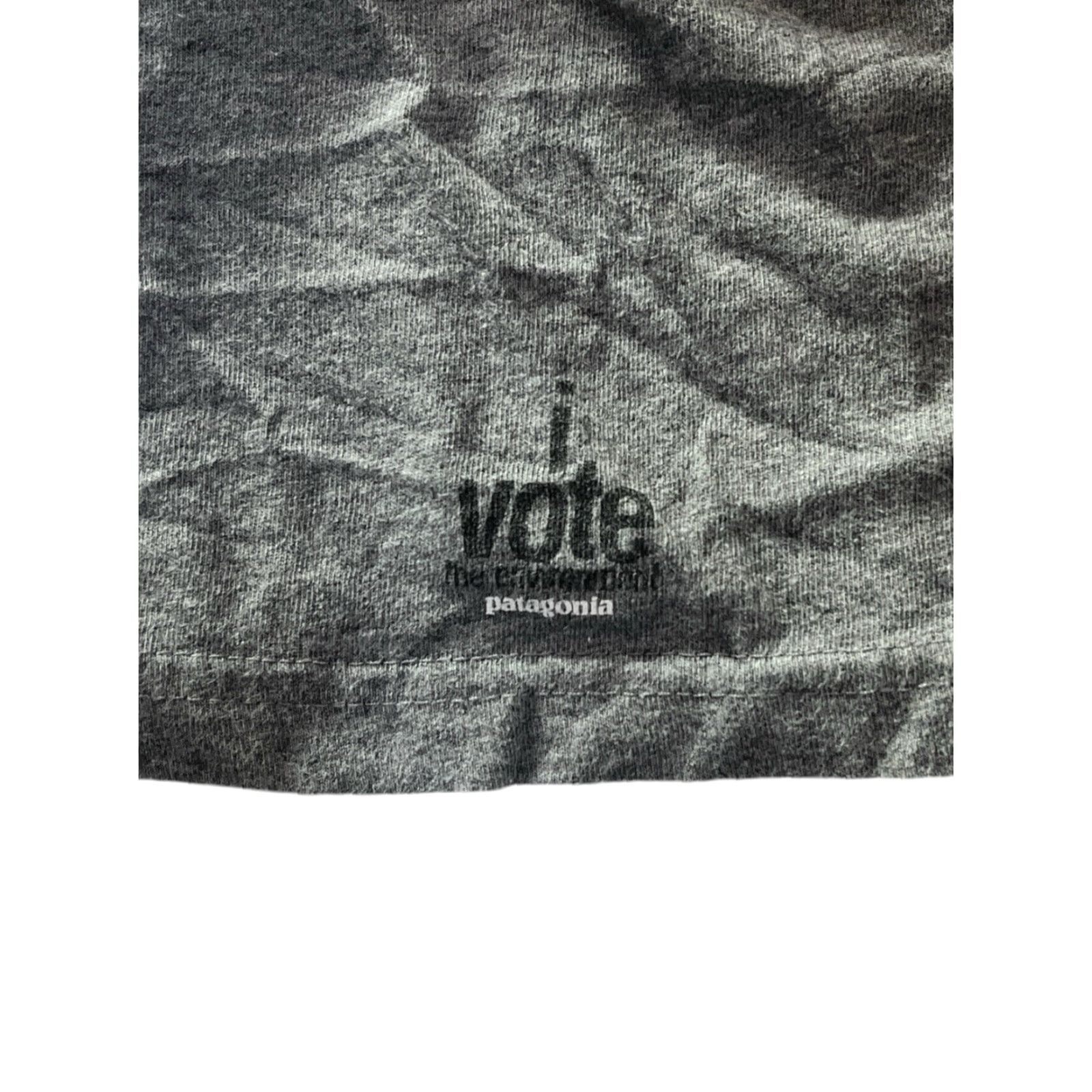 Patagonia patagonia x wilco graphic t-shirt vote for the environment 2012 Size US L / EU 52-54 / 3 - 5 Thumbnail