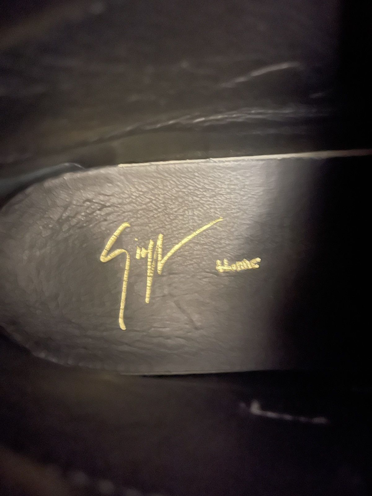 Giuseppe Zanotti Giuseppe Zanotti Wings High Top Size US 6 / EU 39 - 3 Thumbnail