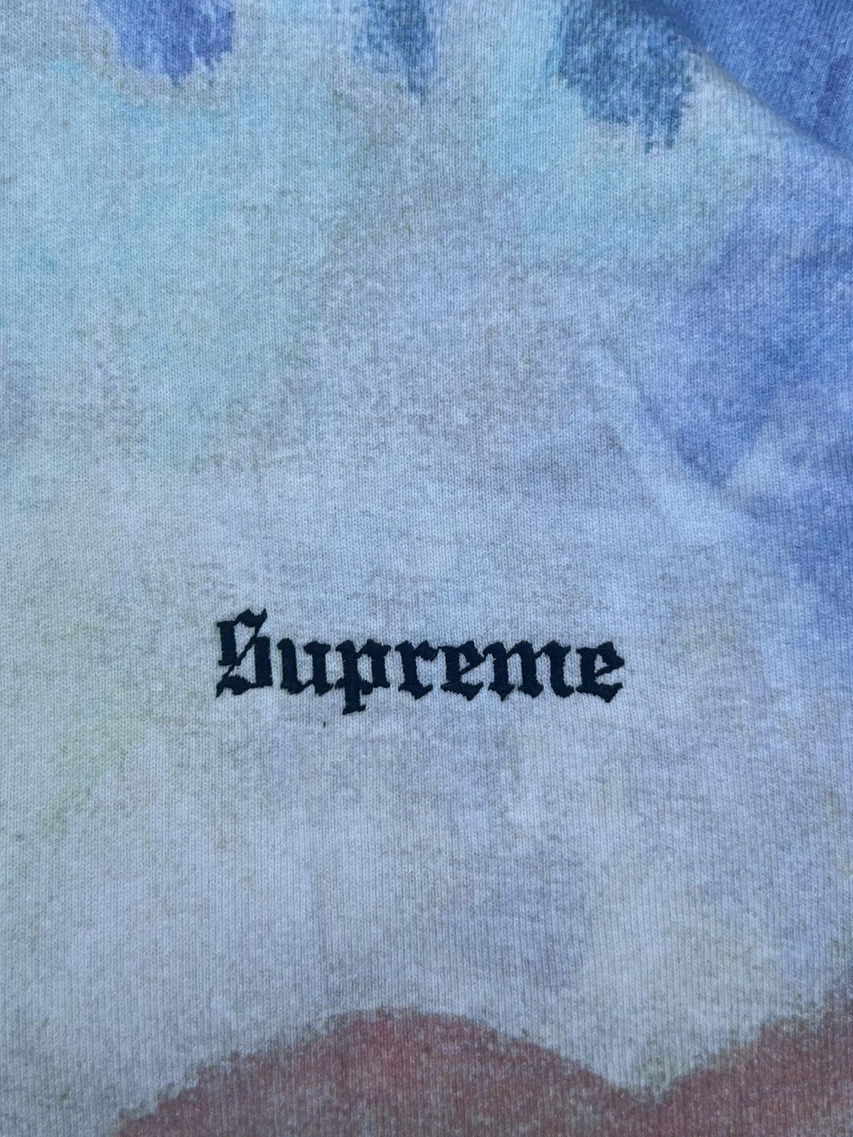 Supreme Supreme Landscape Hooded Sweatshirt - SS18 Size US M / EU 48-50 / 2 - 3 Thumbnail