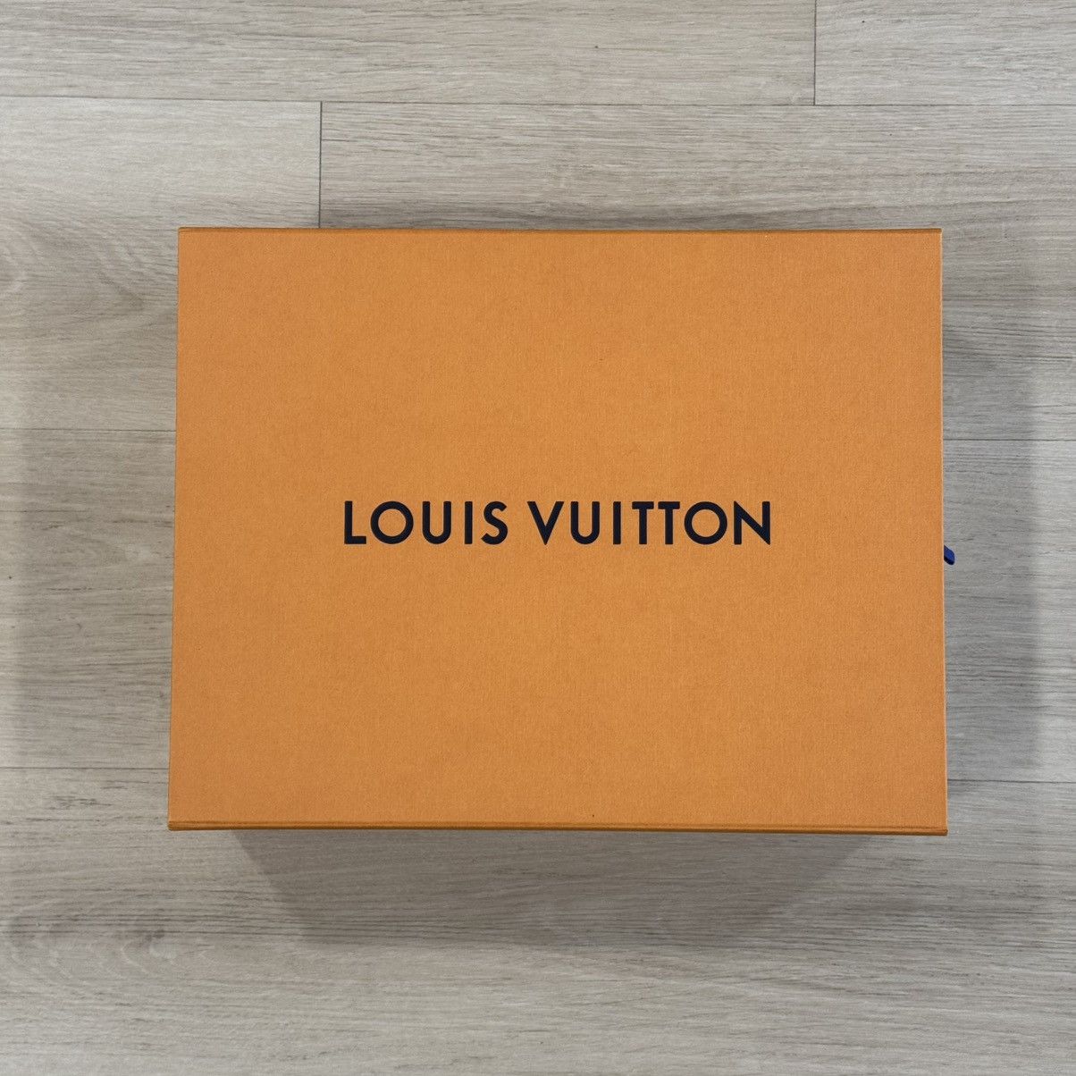 Louis Vuitton LOUIS VUITTON TRAINER SNEAKERS Size US 9.5 / EU 42-43 - 8 Thumbnail