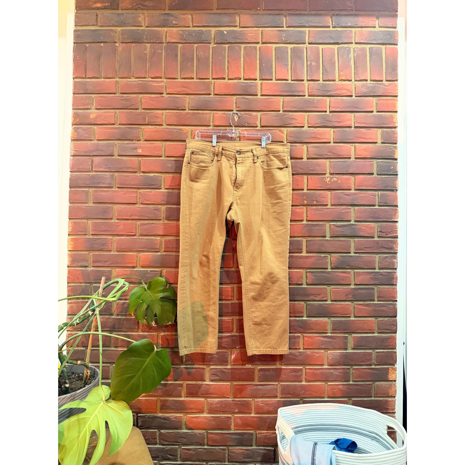 Levi's Levi’s Brown Pants Size US 36 / EU 52 - 1 Thumbnail