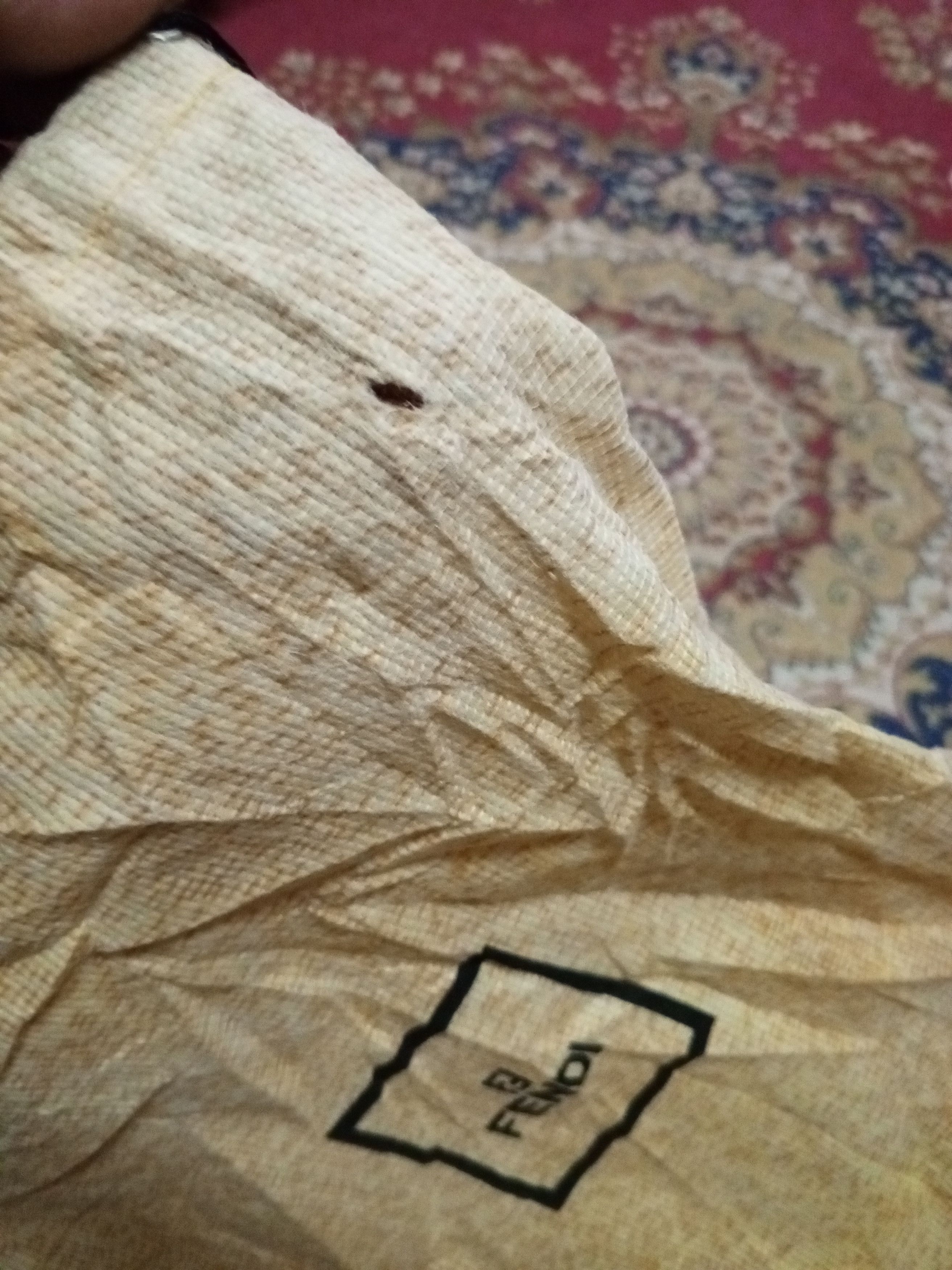 Fendi FENDI Drawstring Dust Bag Size ONE SIZE - 9 Thumbnail