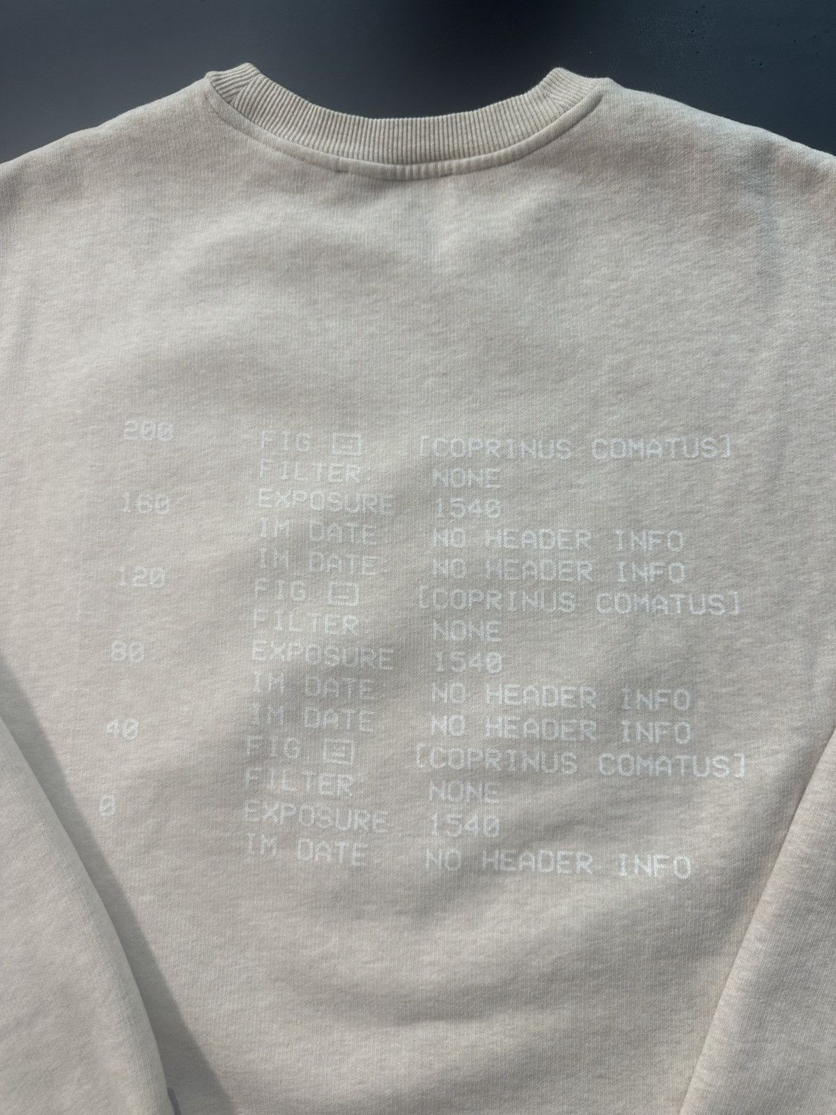 Acne Studios Acne Studios X-Ray Mushroom Graphic Sweatshirt Size US XL / EU 56 / 4 - 7 Thumbnail