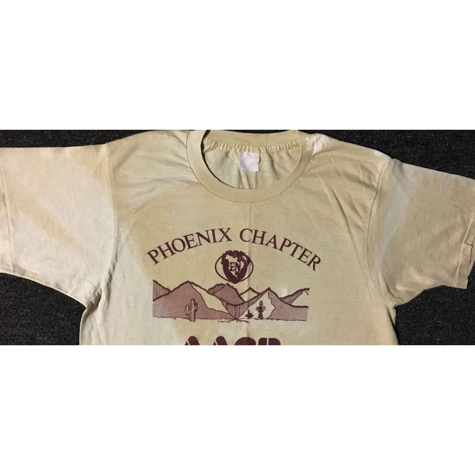 Vintage VINTAGE AACN Critical Care Nursing Phoenix Chapter Shirt M Beige 80s 90s Grunge Distressed Single Stitch Mens Shirt Size US M / EU 48-50 / 2 - 7 Thumbnail