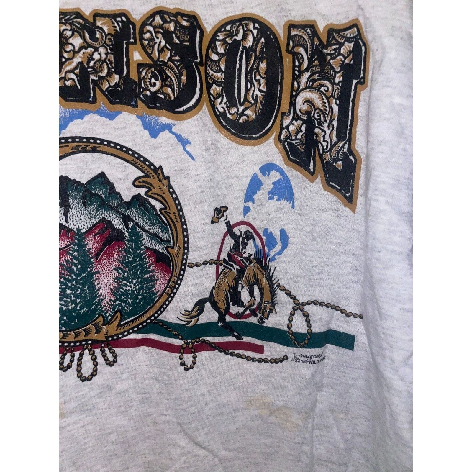 Signal Sport Vintage Branson Shirt Cowboy Mountain Gray 90s Tee VTG L Size US L / EU 52-54 / 3 - 5 Thumbnail