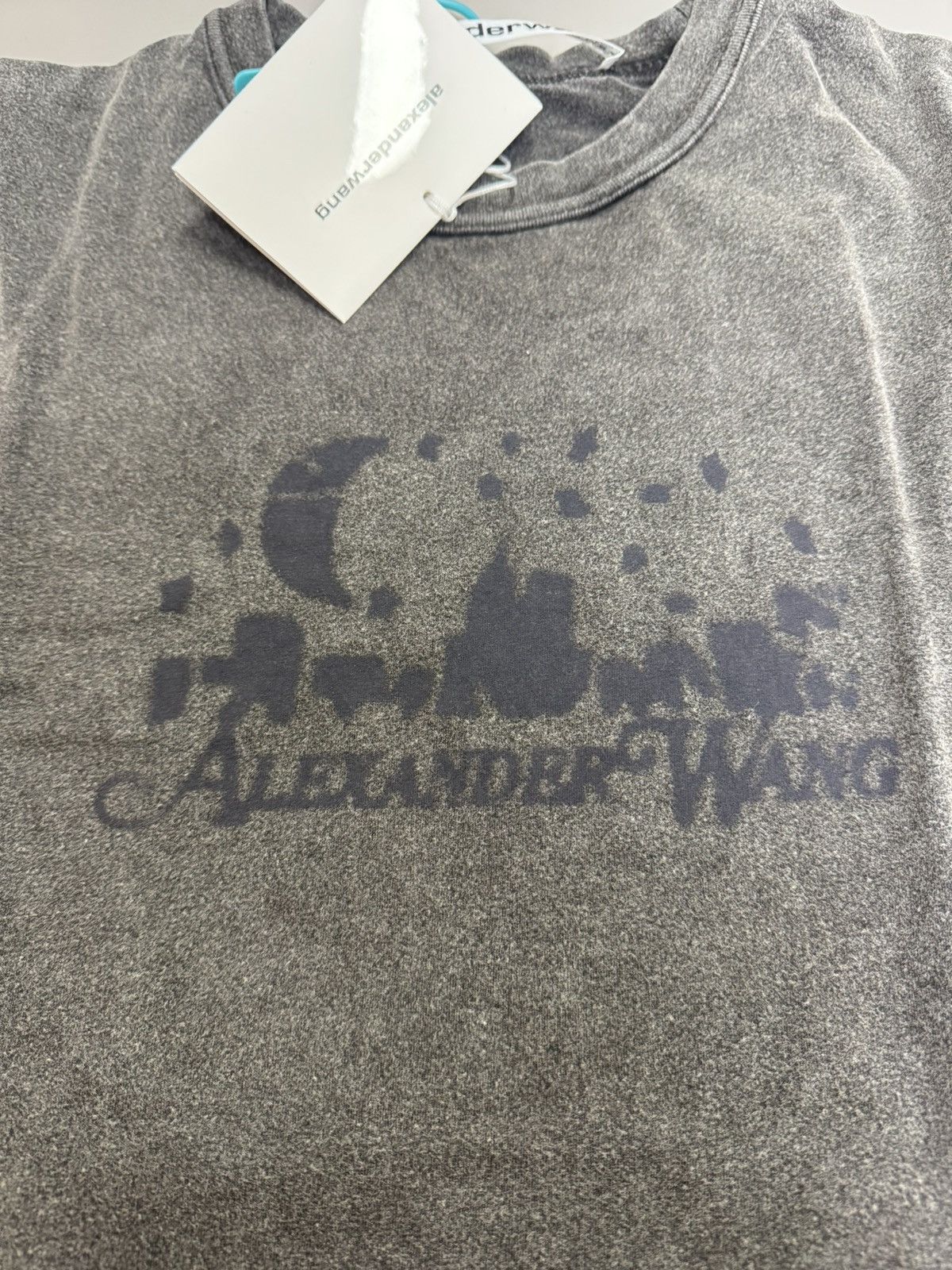 Alexander Wang NWT Distressed Skyline Logo Tee Unisex - Washed Charcoal, XS Size XS / US 0-2 / IT 36-38 - 8 Thumbnail
