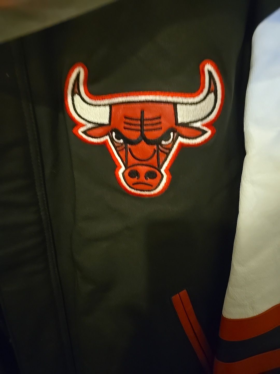 Vintage Bulls Jordan goat vintage new leather coat new with tags Size US M / EU 48-50 / 2 - 11 Thumbnail
