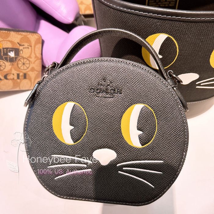 Coach Canteen Crossbody With Halloween Cat | Grailed