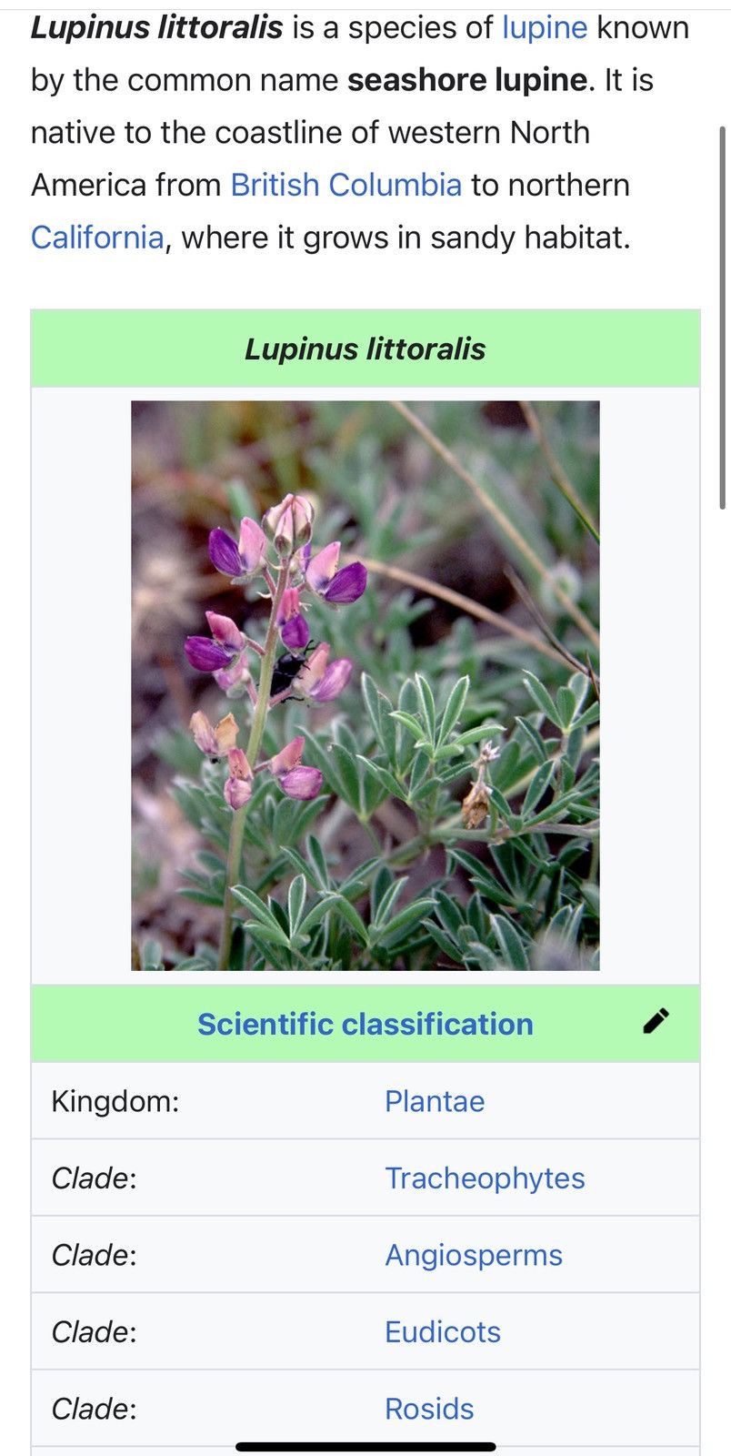Vintage VANCOUVER iSLAND BRiTiSH COLUMBiA CANADA WiLDFLOWERS BOTANY Size US L / EU 52-54 / 3 - 21 Thumbnail