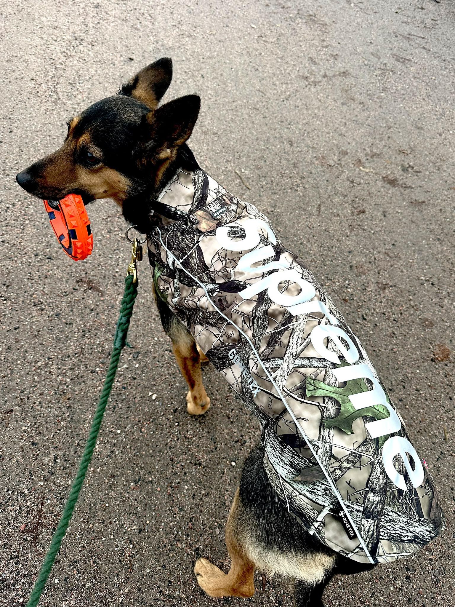 Supreme Supreme GORE-TEX Dog Jacket Large | Grailed