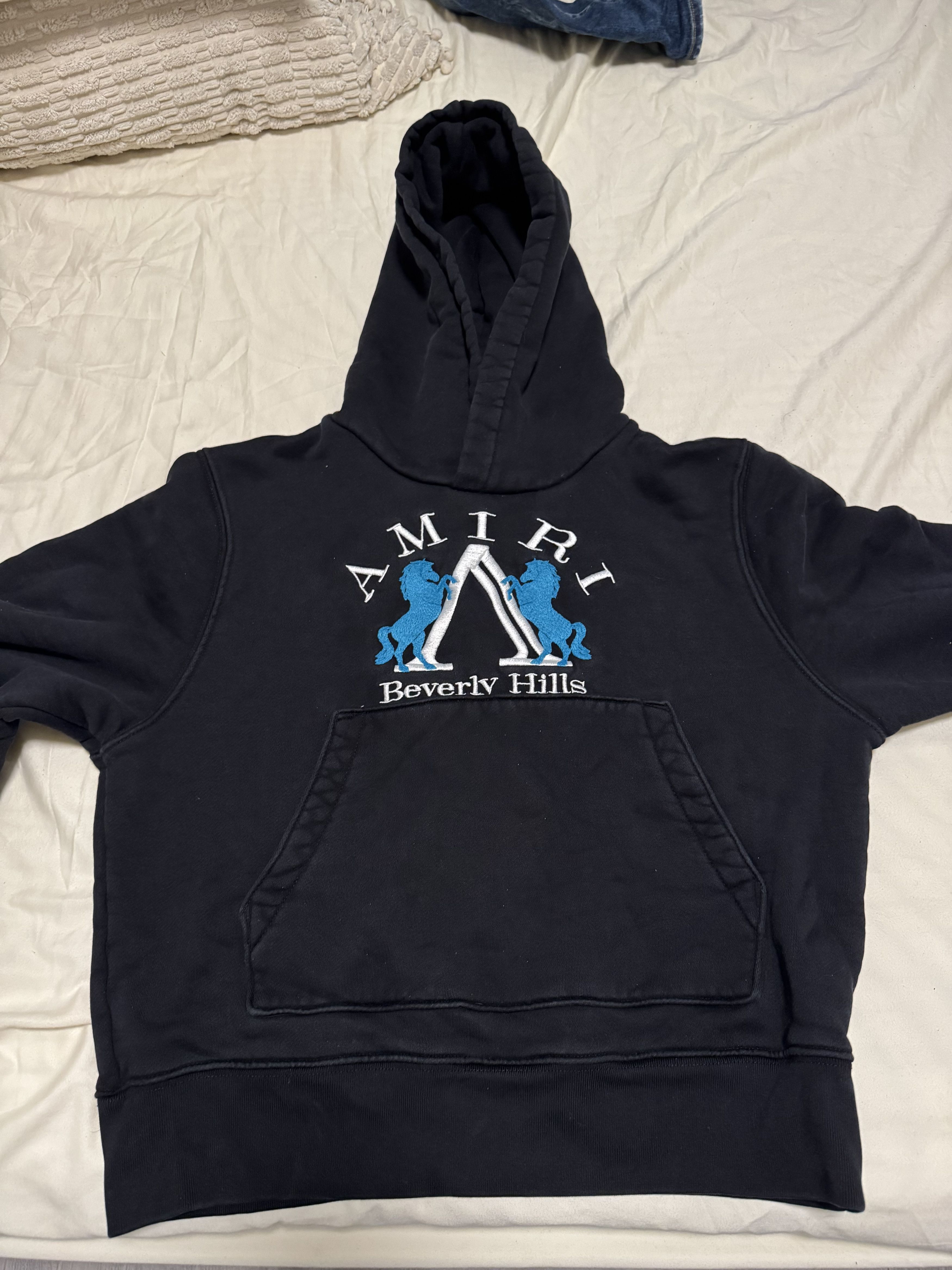 Amiri Amiri Hoodie Size US XS / EU 42 / 0 - 1 Thumbnail