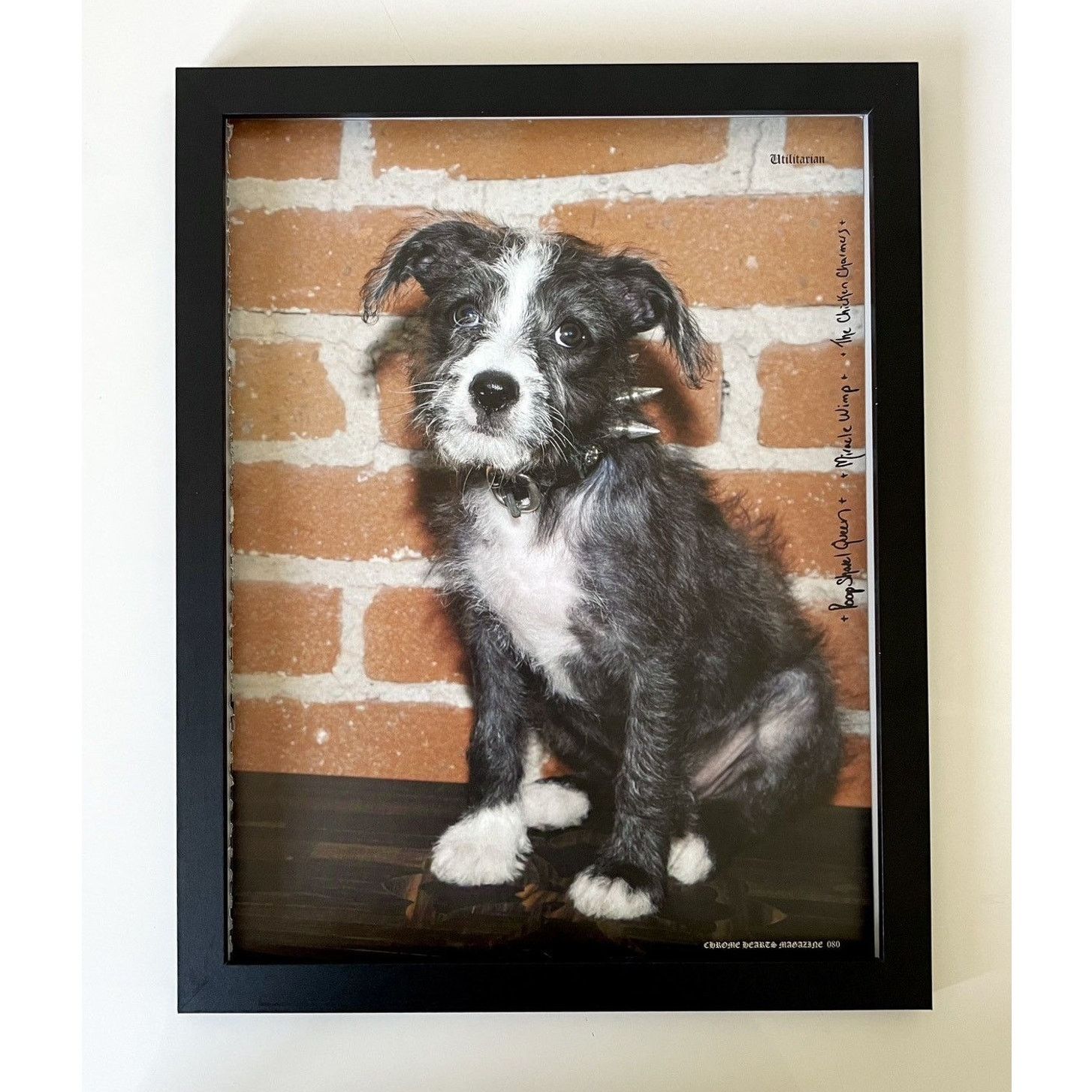 Chrome Hearts × Japanese Brand × Vintage Chrome Hearts dog puppy photo Framed poster 9x11 Size ONE SIZE - 1 Thumbnail