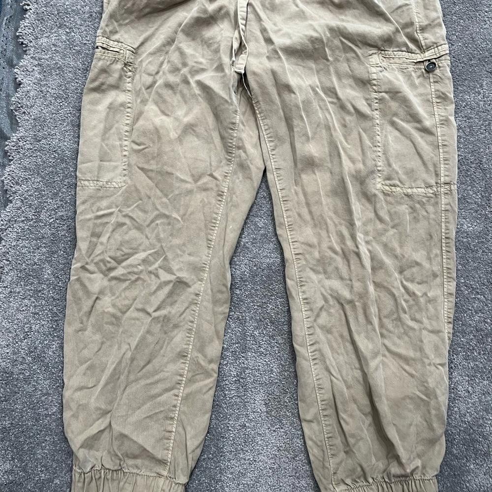 Designer Aerie cargo joggers Size 36" / US 14 / IT 50 - 3 Thumbnail