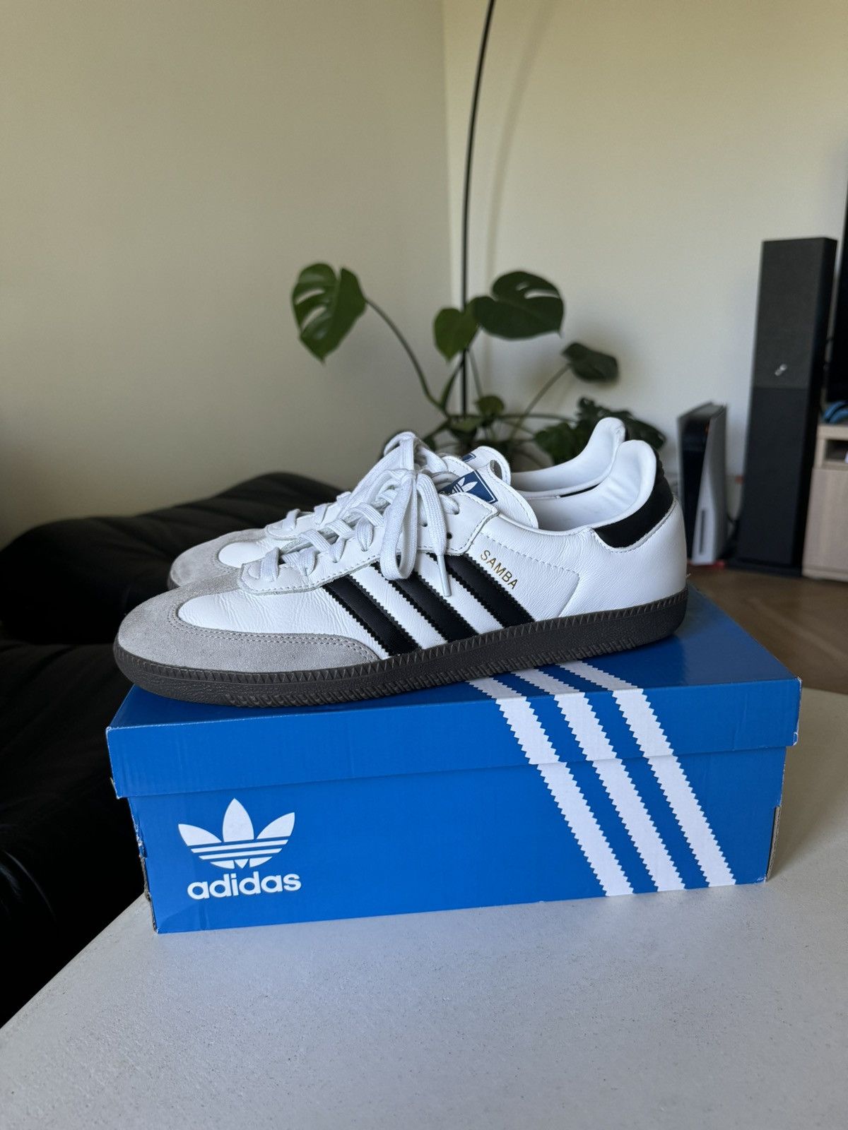 adidas gazelle silver green womens Adidas Samba OG Reggae  Hype Pieces