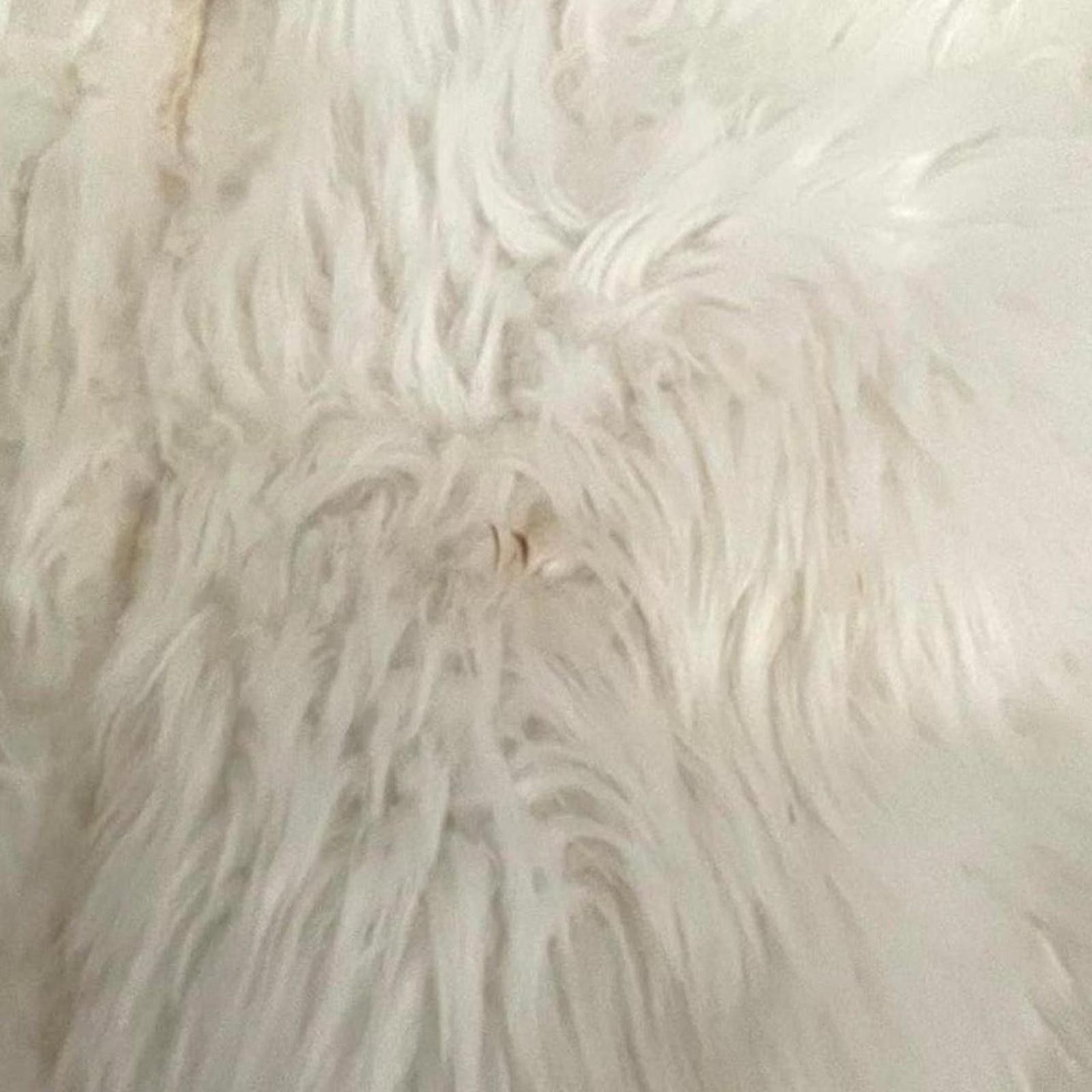 Other whimsy goth coquette white penny lane coat Size XS / US 0-2 / IT 36-38 - 4 Thumbnail