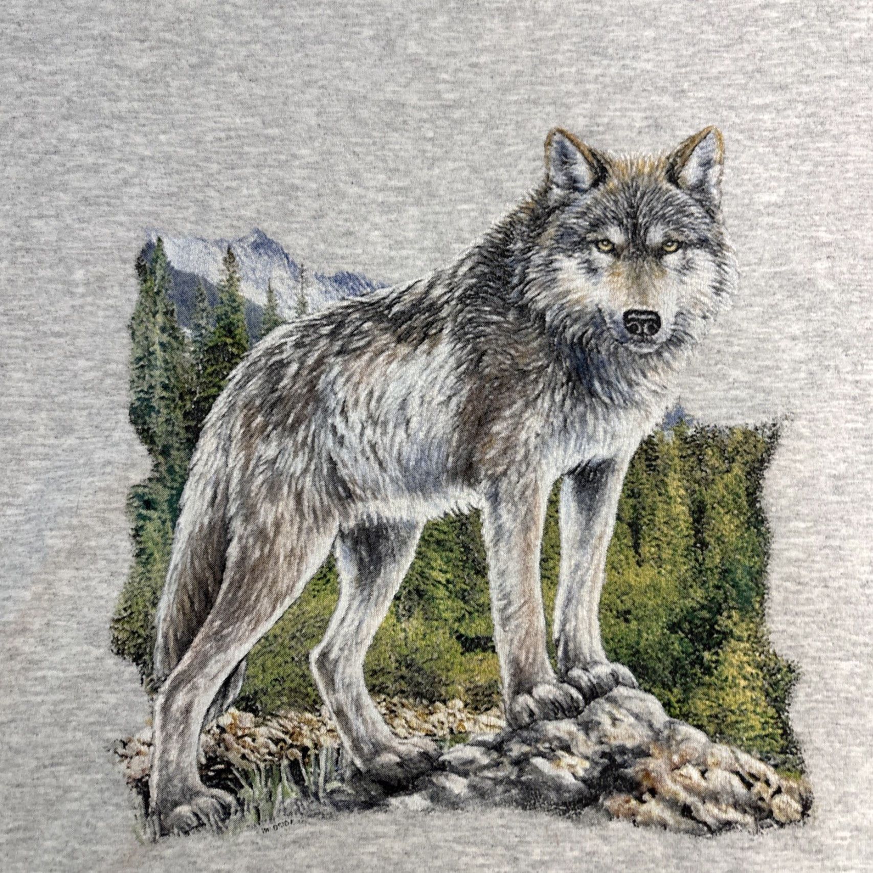 Jerzees VINTAGE Jerzees Super Sweater Crewneck Wolf Gray XL Cropped Women Crew Neck Pullover Sweatshirt Gr ay XL Women’s 00 Size XL / US 12-14 / IT 48-50 - 2 Thumbnail